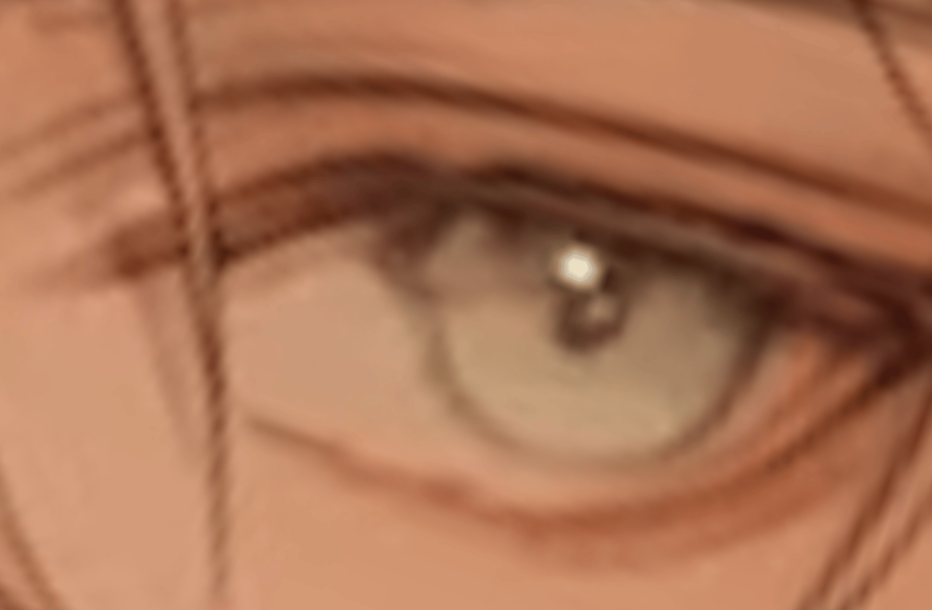 Xavier