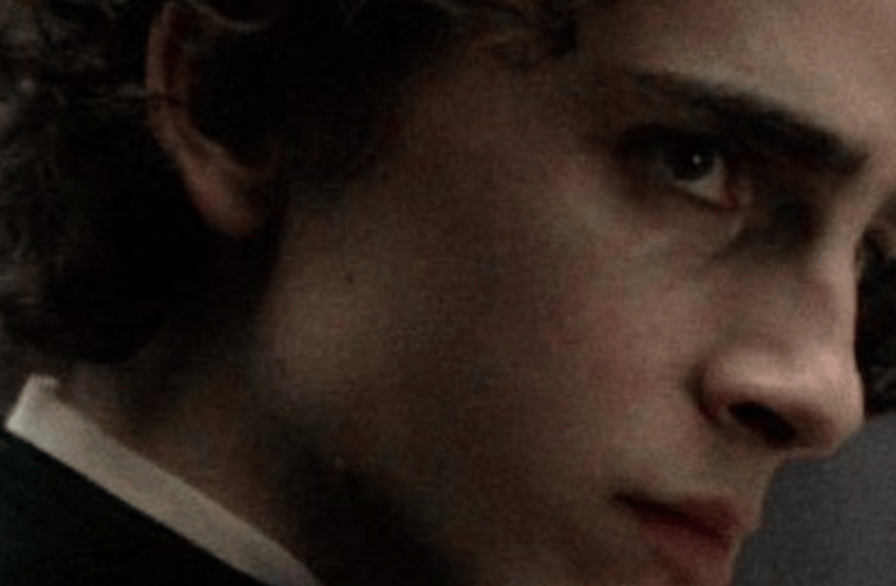 Regulus black
