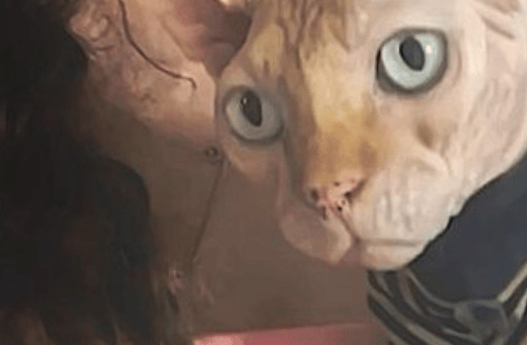 Demi