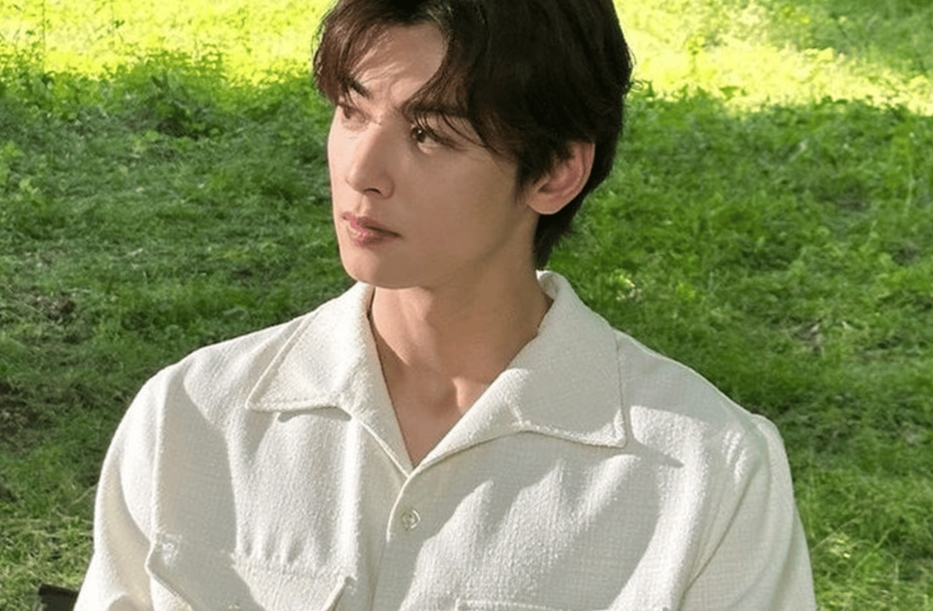 Cha Eunwoo