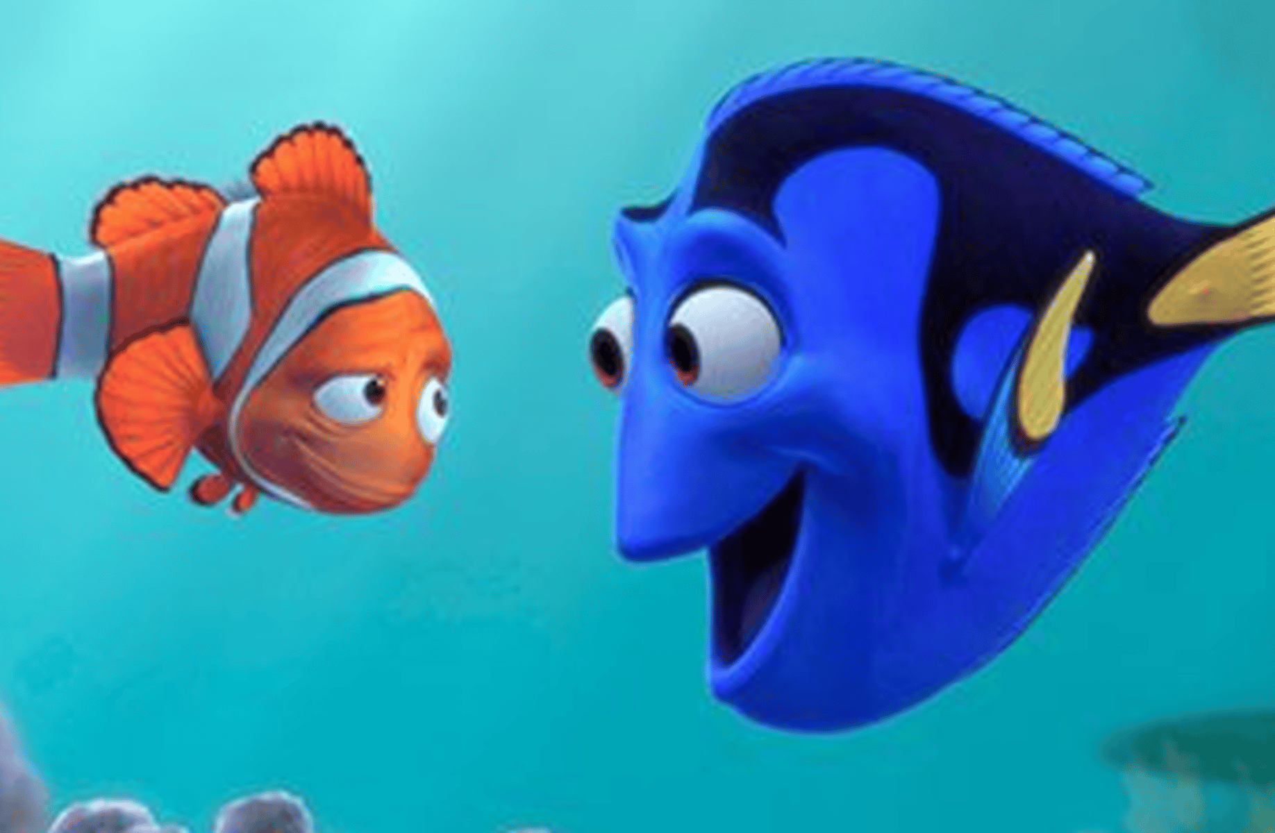 Nemo