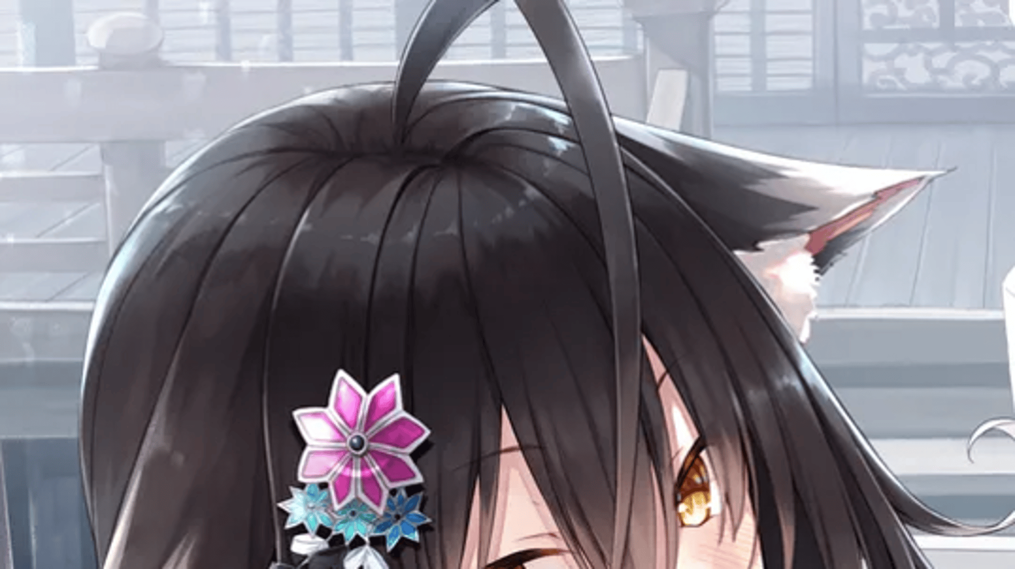miya a cat girl