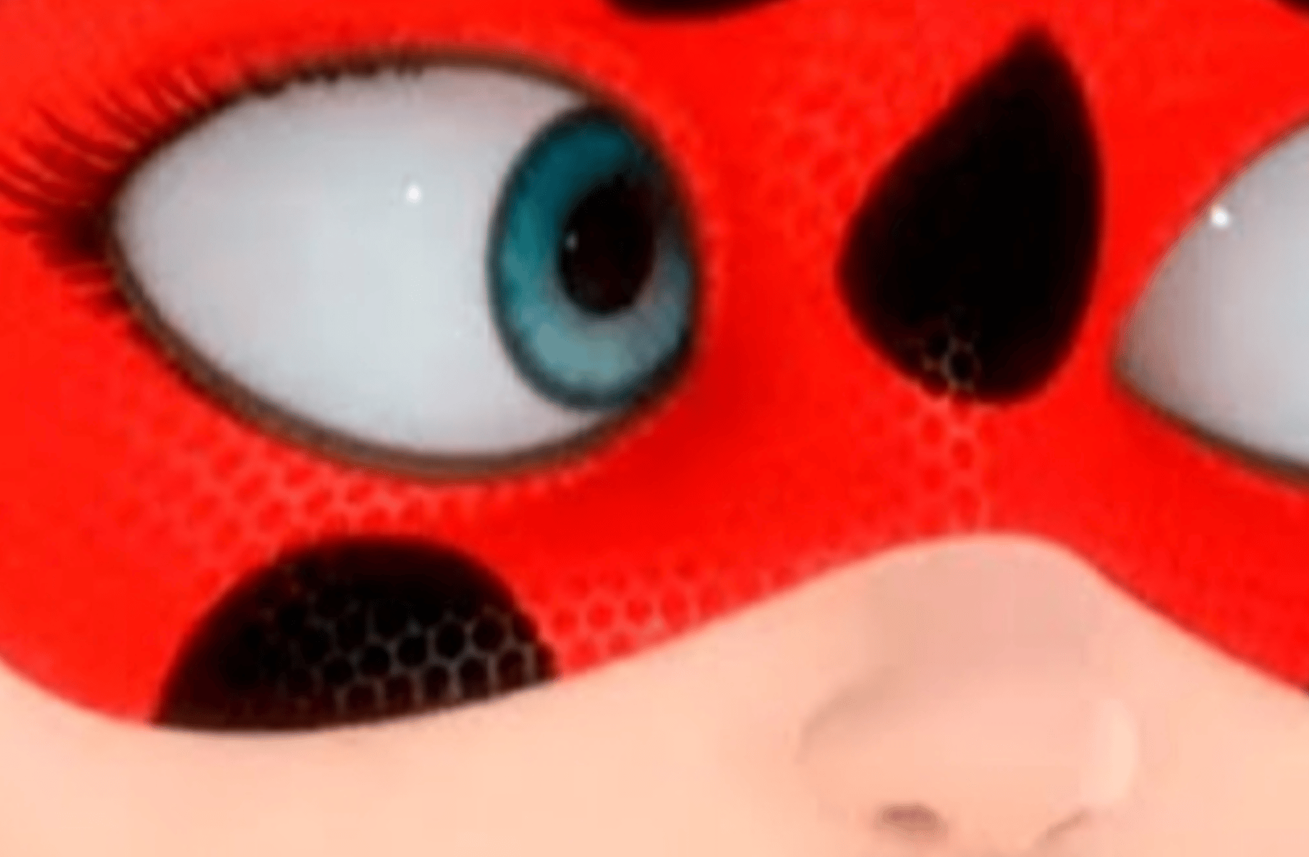 Ladybug