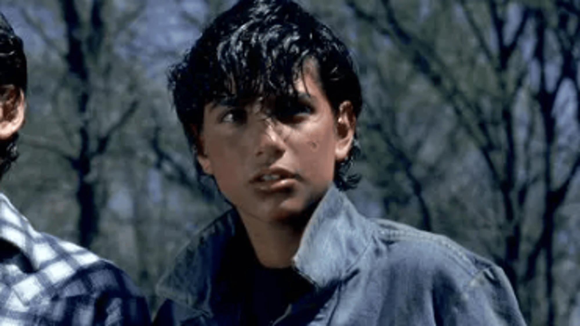 Johnny cade