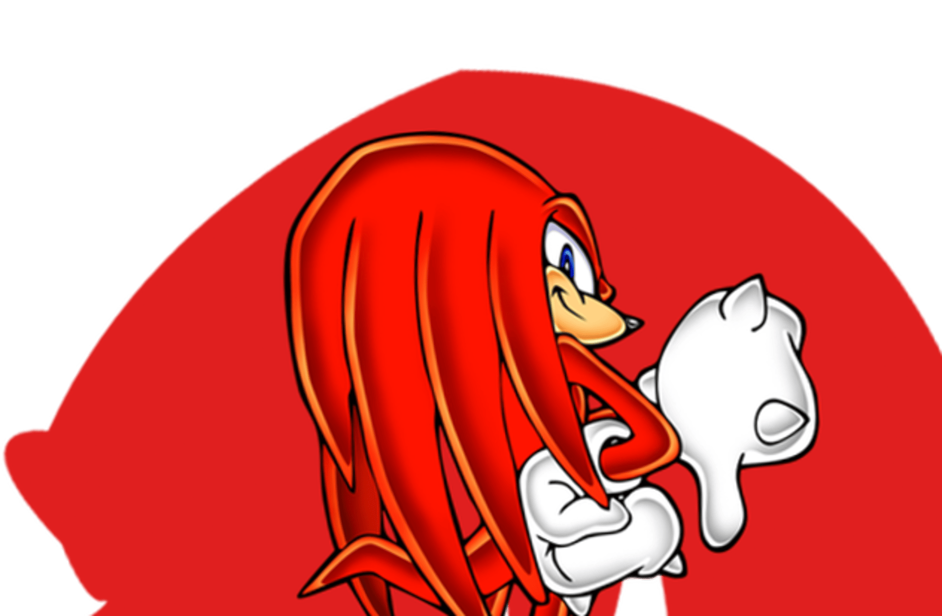 Knuckles The Echidna