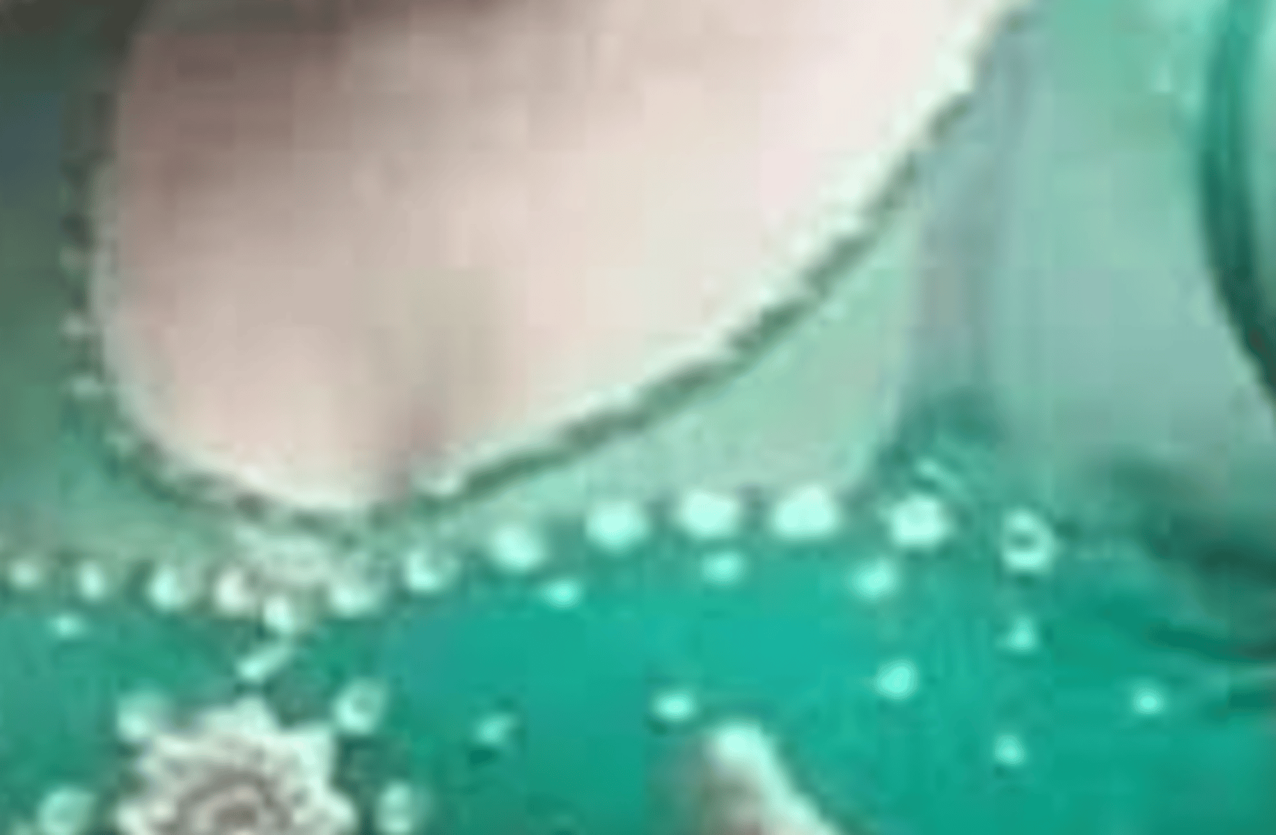 Sali Desi