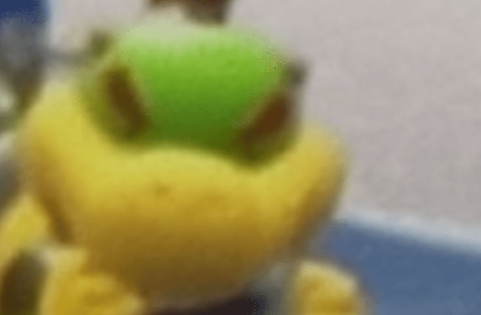 Bowser Jr