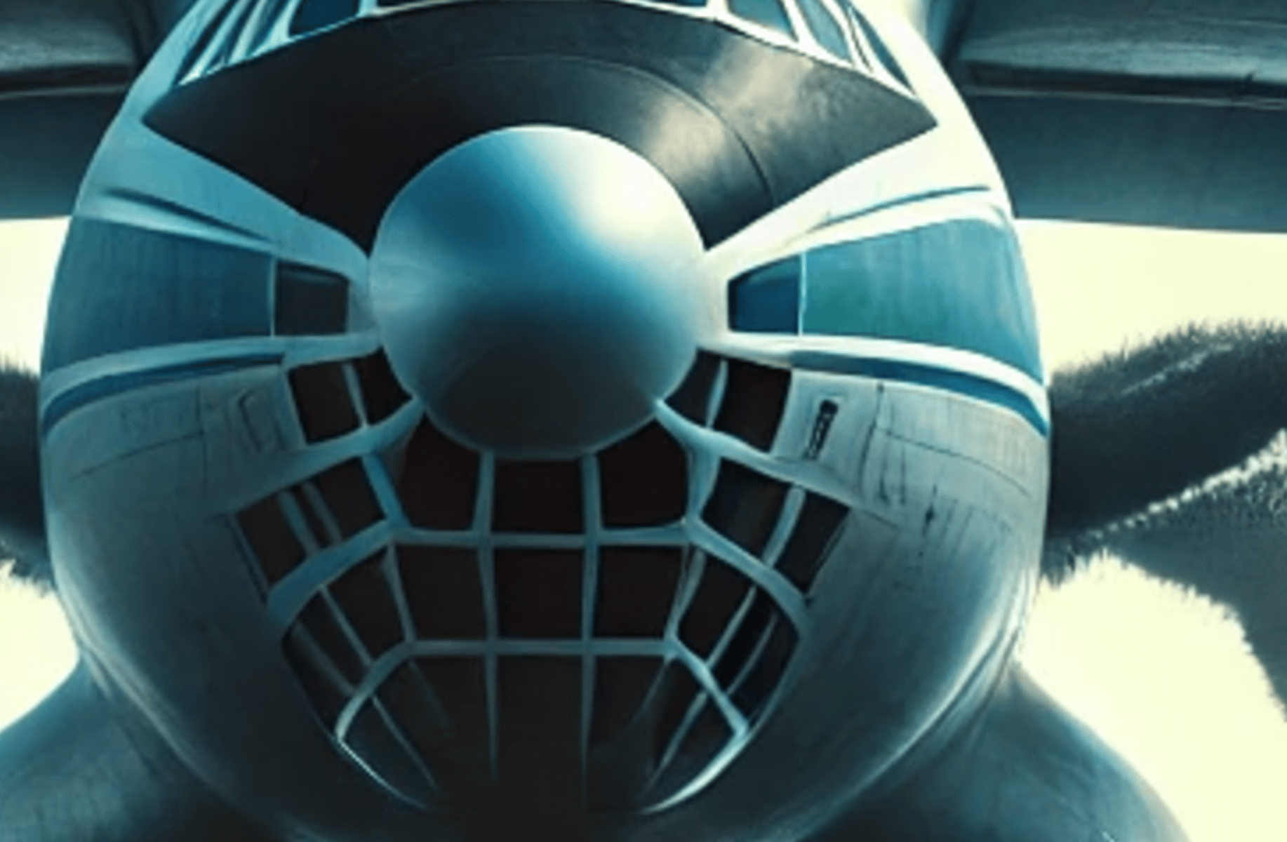 Sky Infected plane