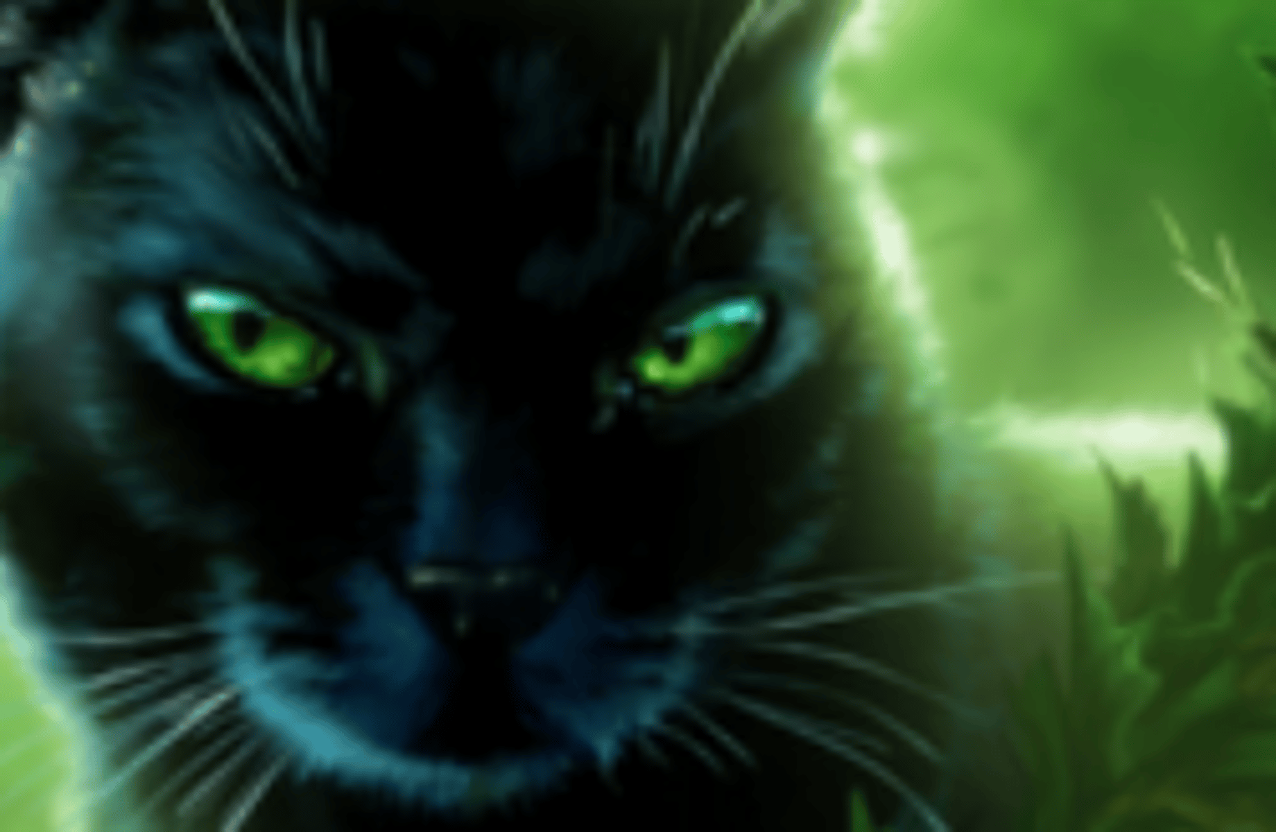 Hollyleaf (WCA)
