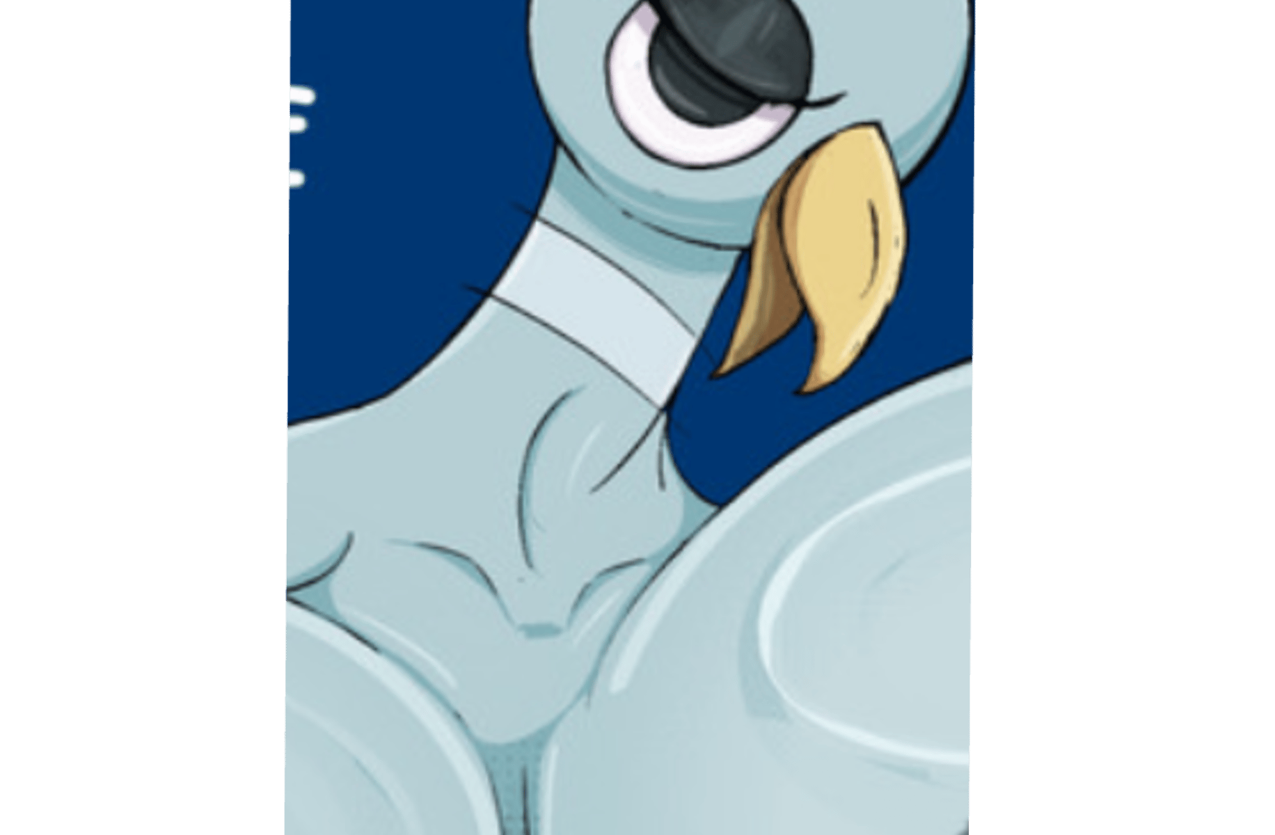 Pigeon