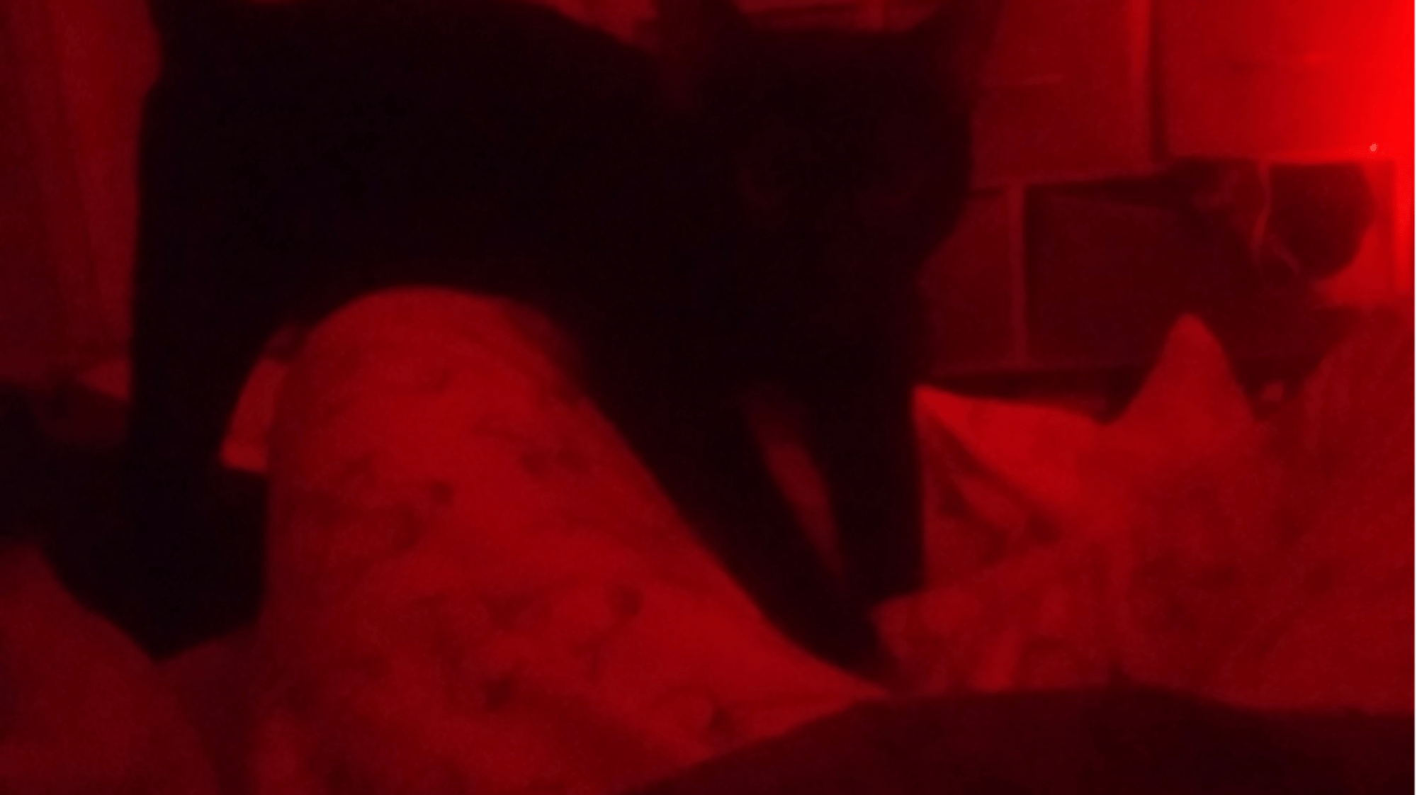 Femboy Boyfriend (BL)