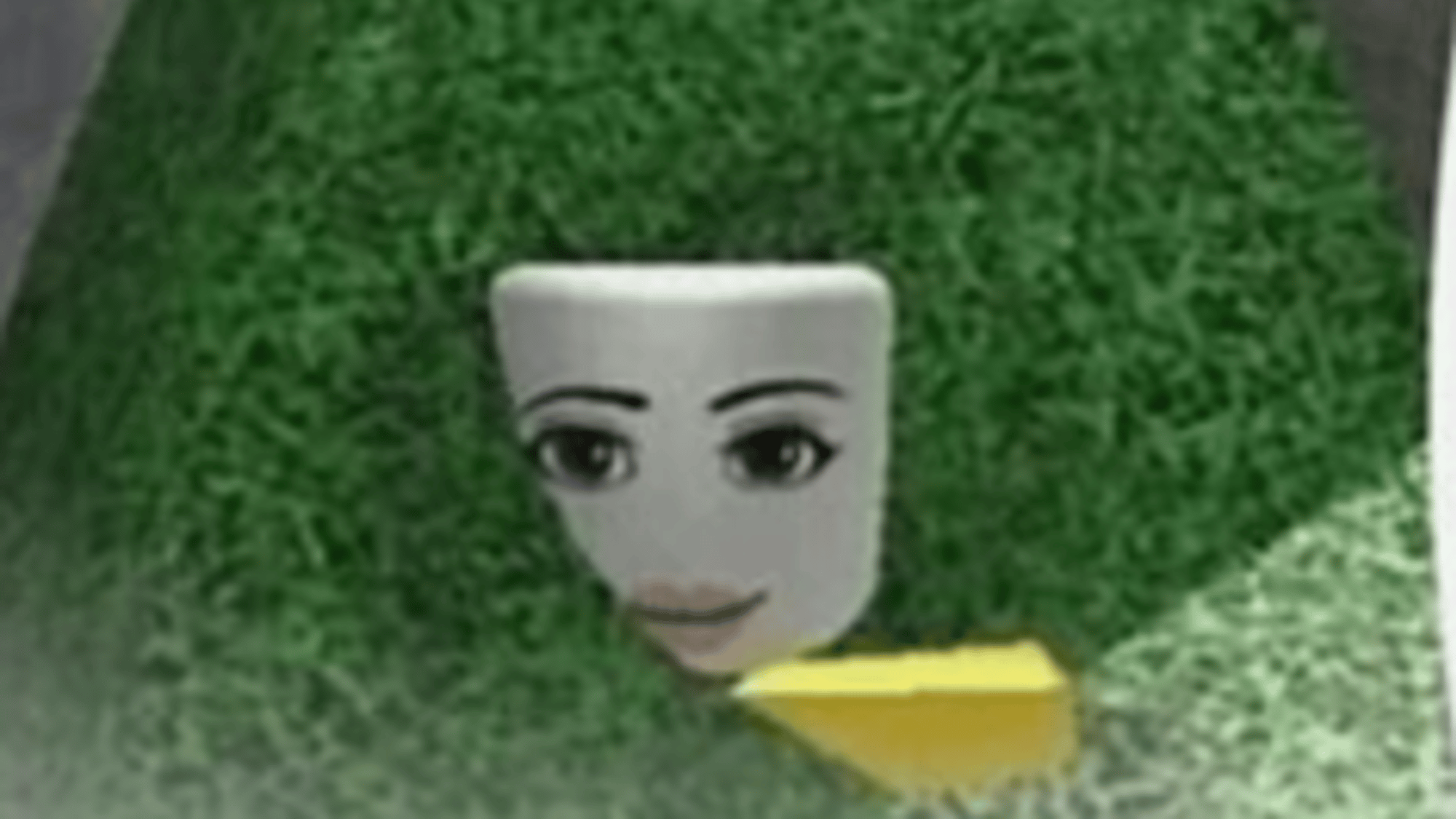 lettuce woman /j