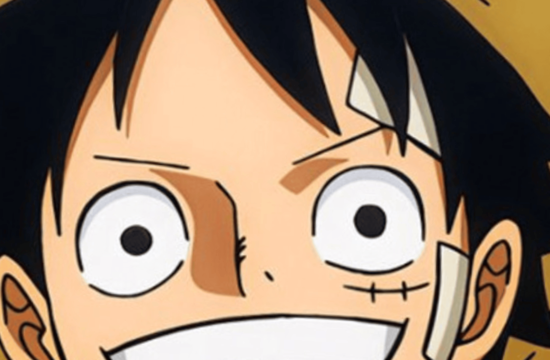 Monkey d luffy