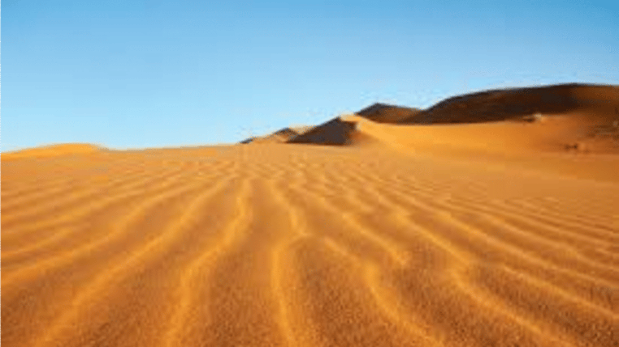 The desert