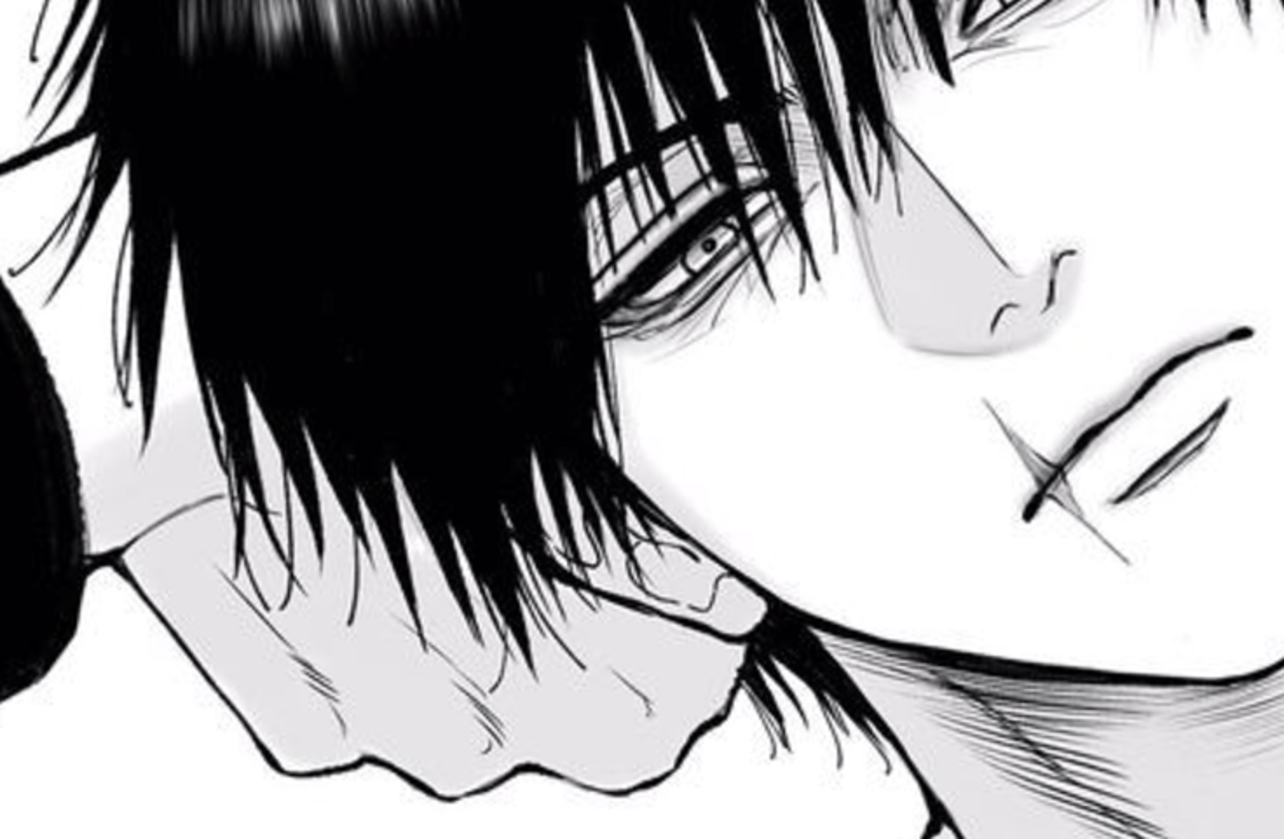 Toji fushiguro (jjk)