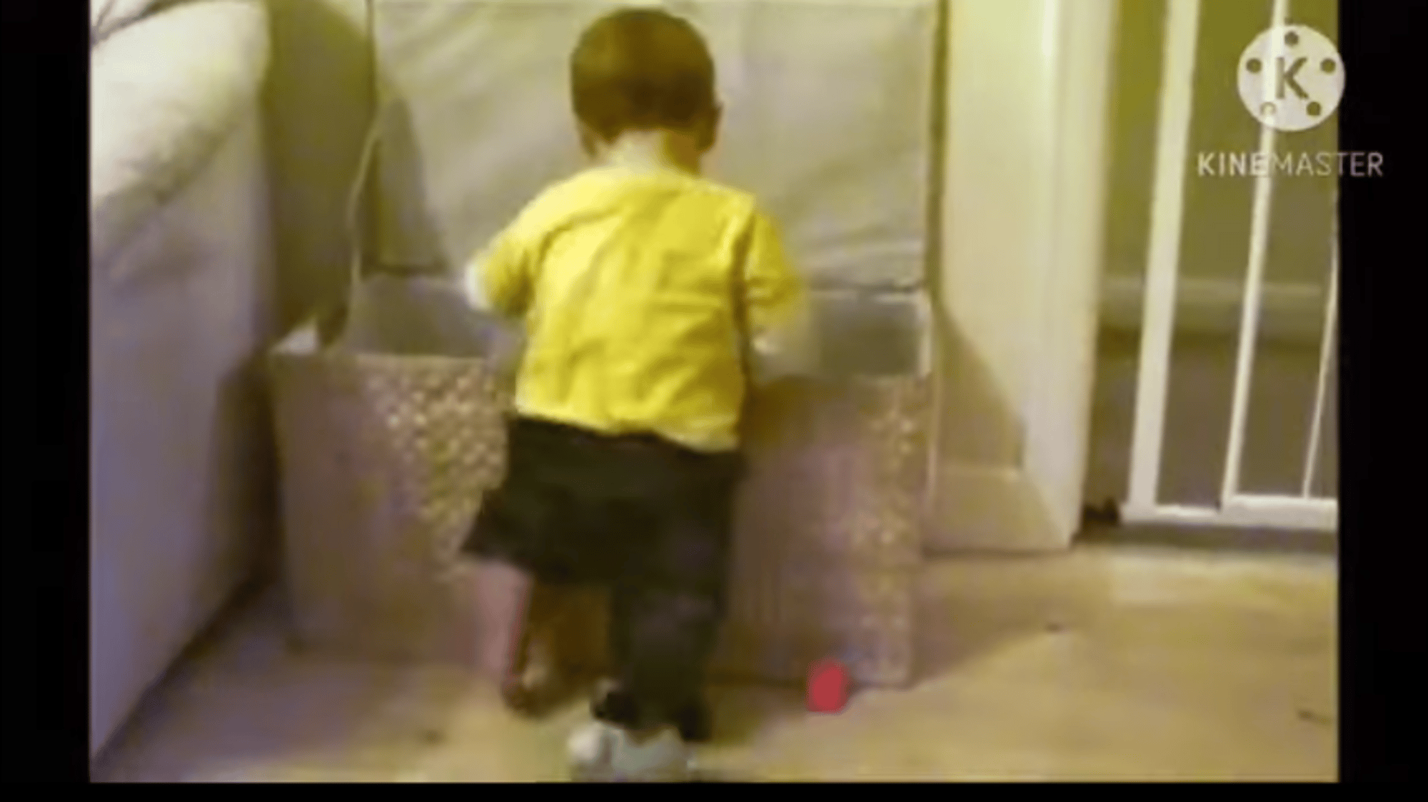 Boy