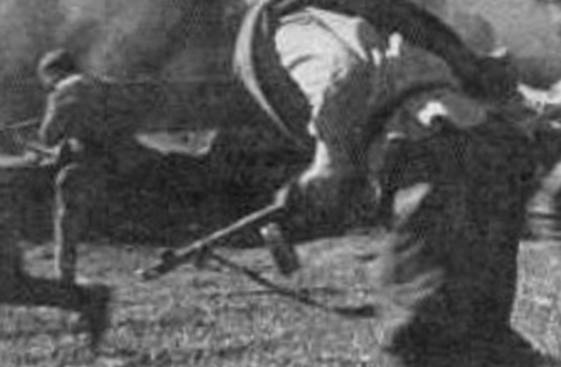 Erik Muller (Wehrmacht)