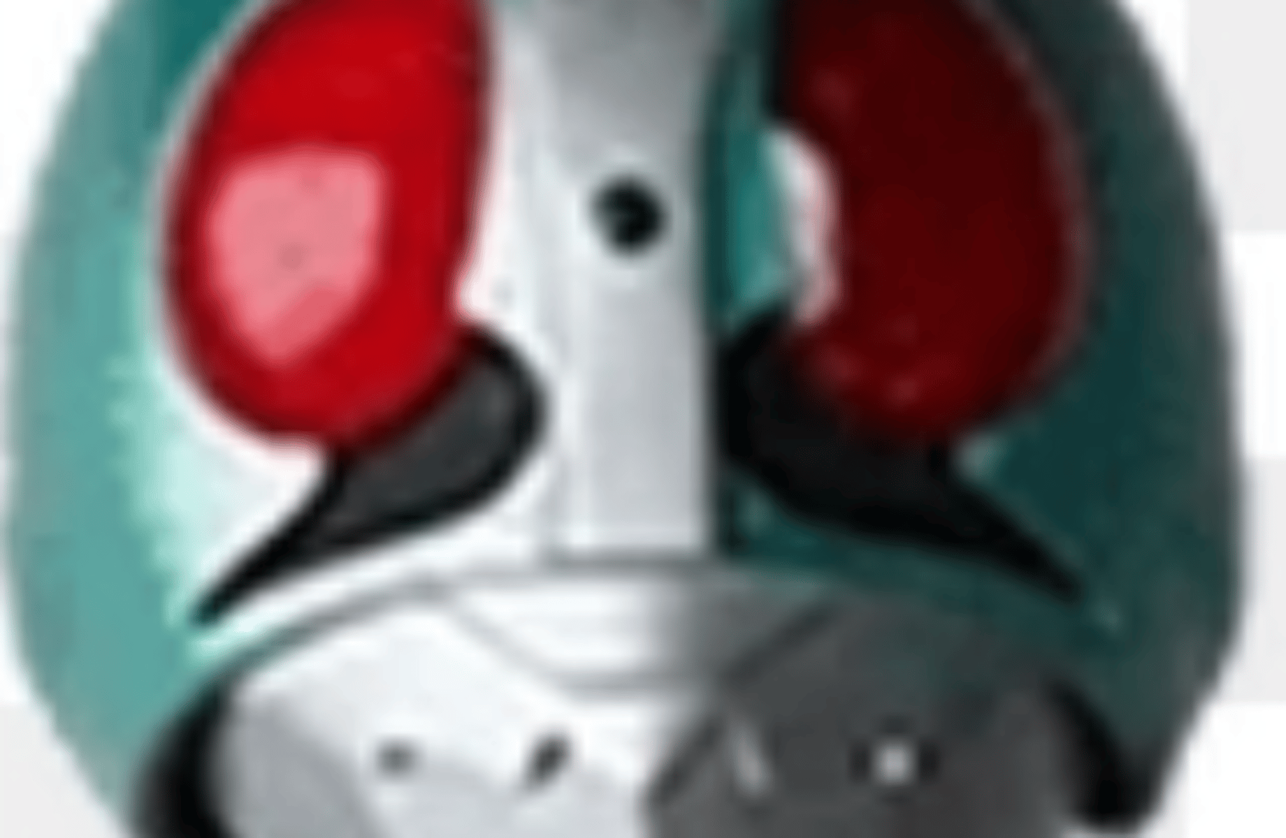 Kamen rider