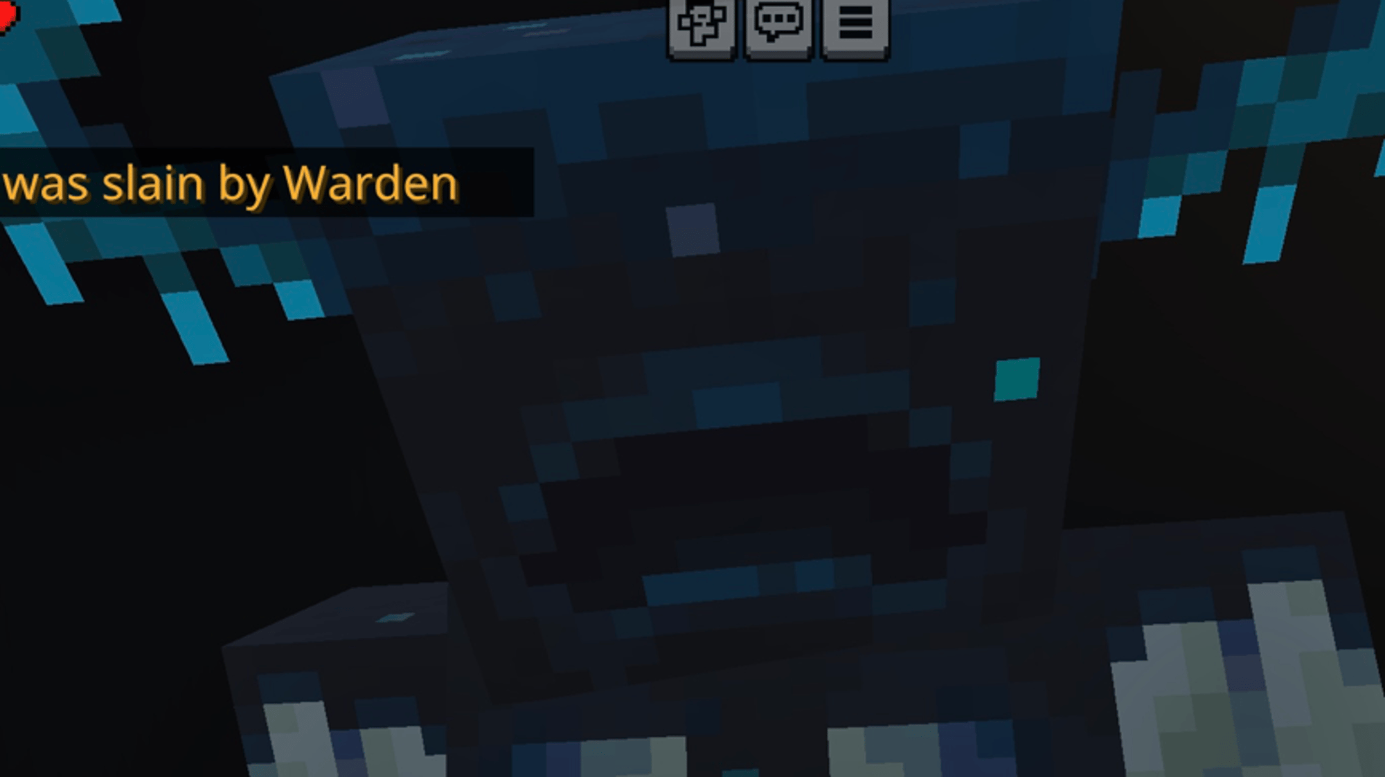 Warden