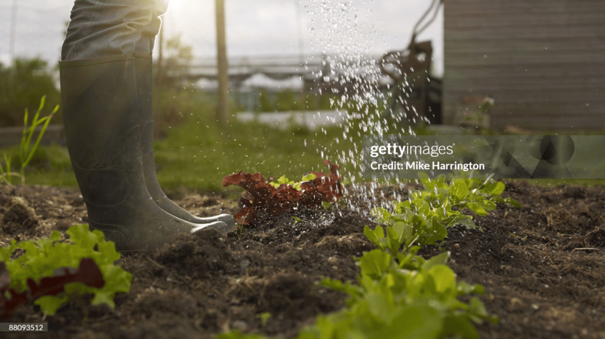 Gardeners