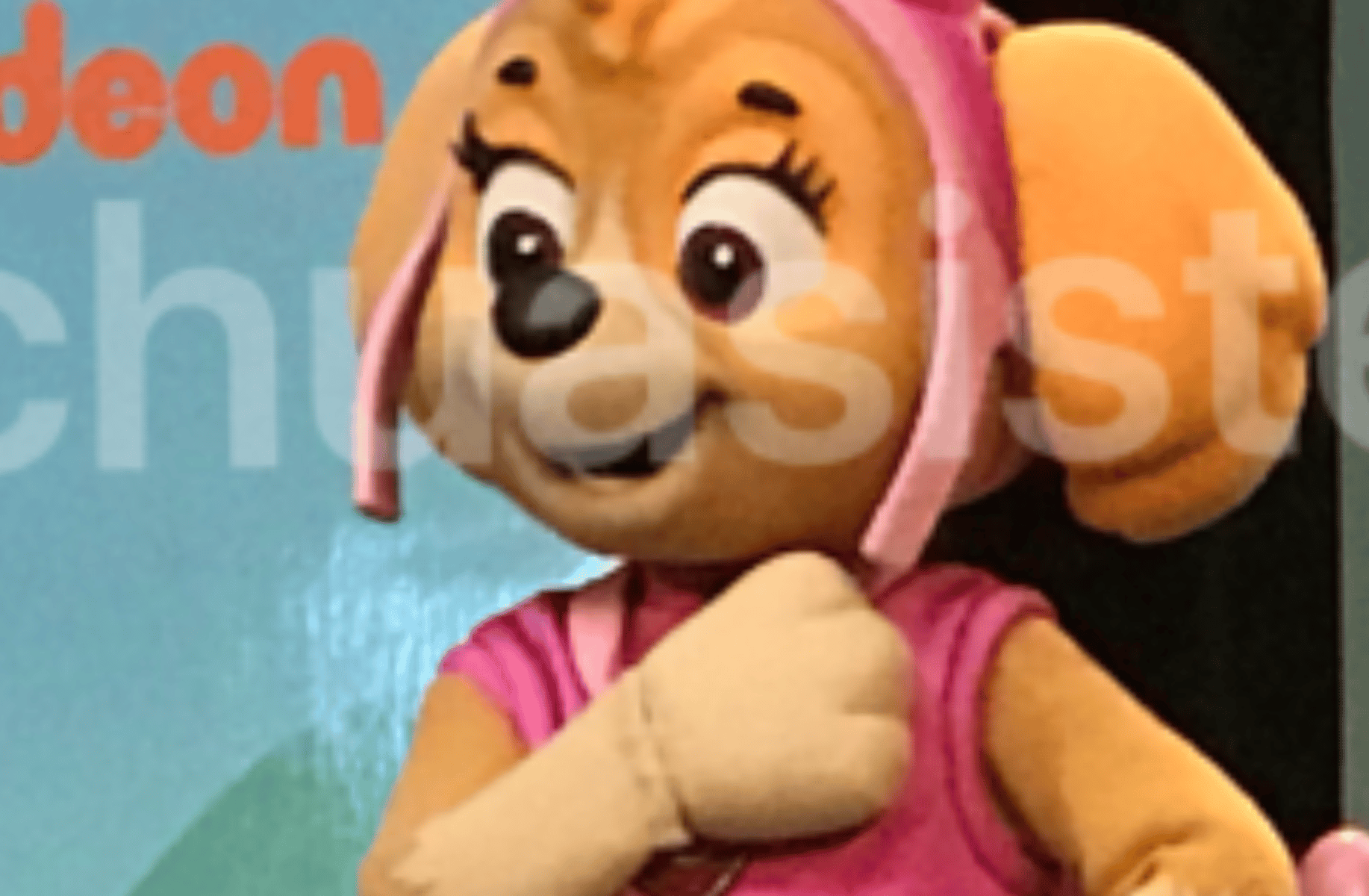 Skye (Paw Patrol)