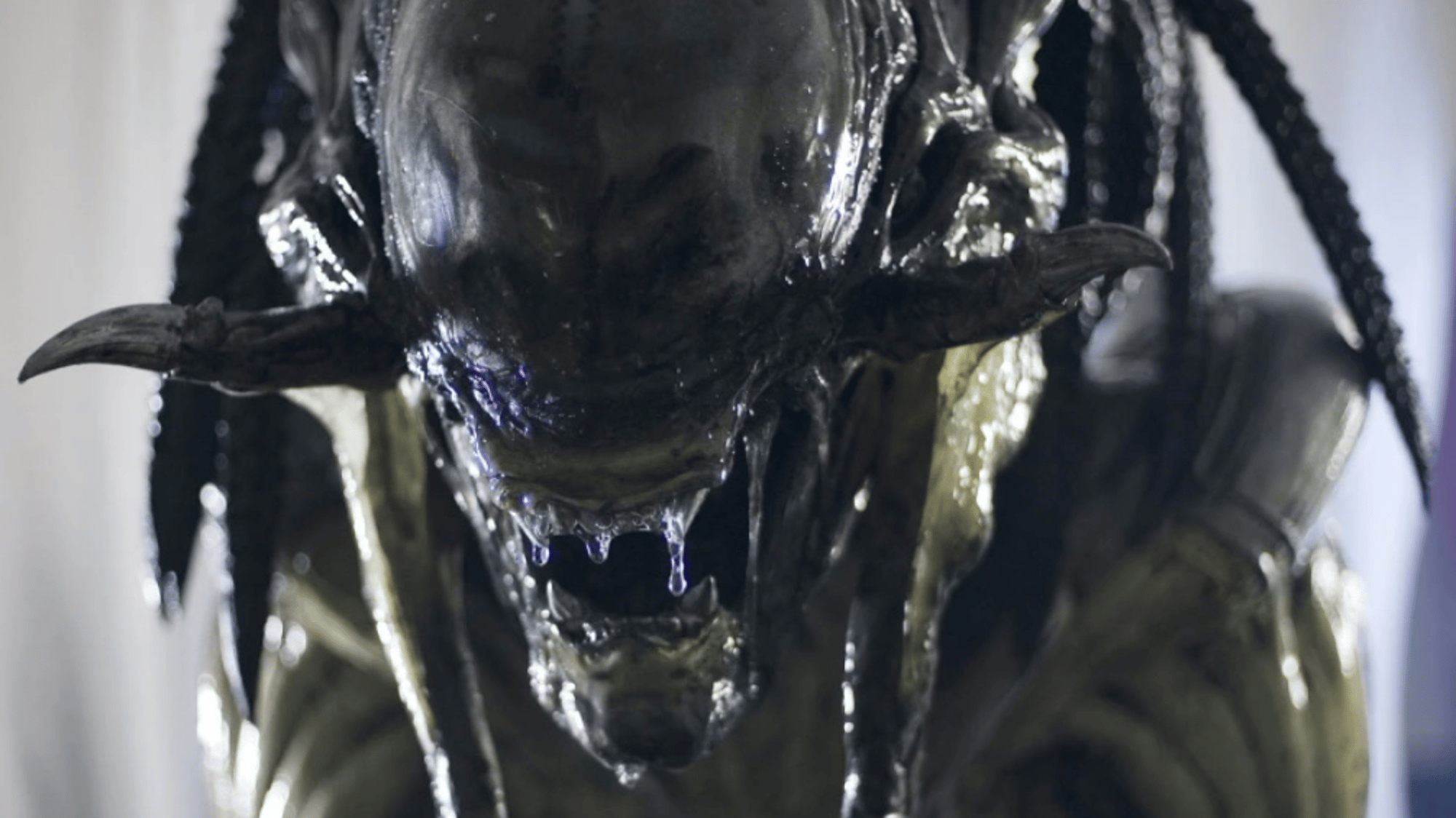Predalien