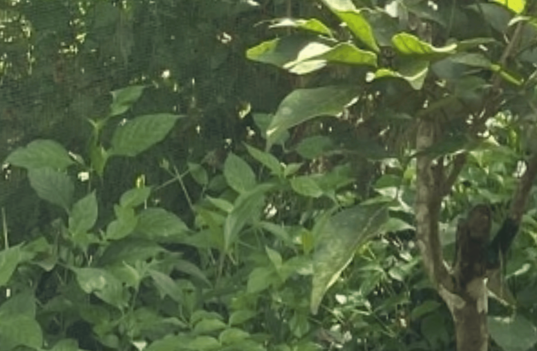 Paterson's Adventure!