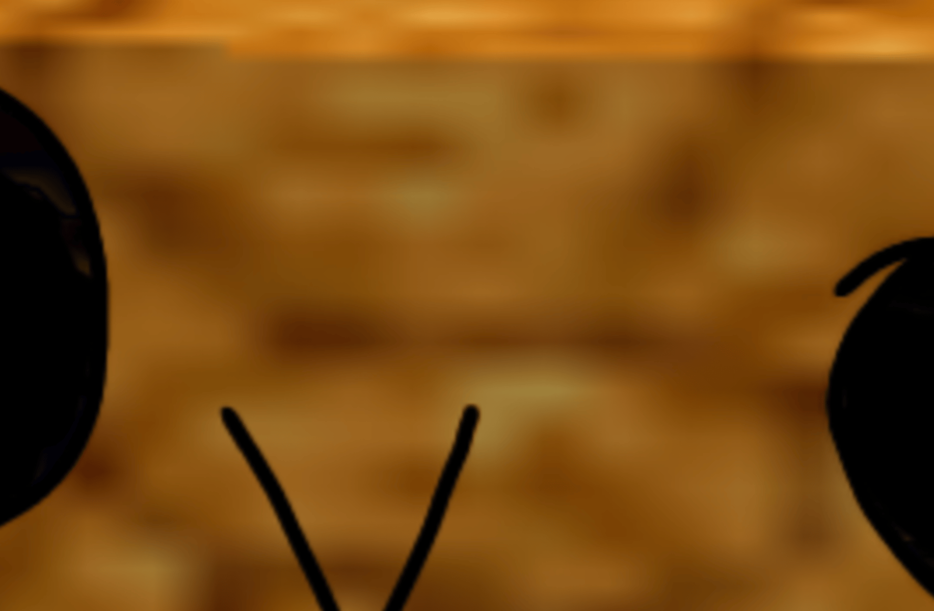Me, But It's a Box