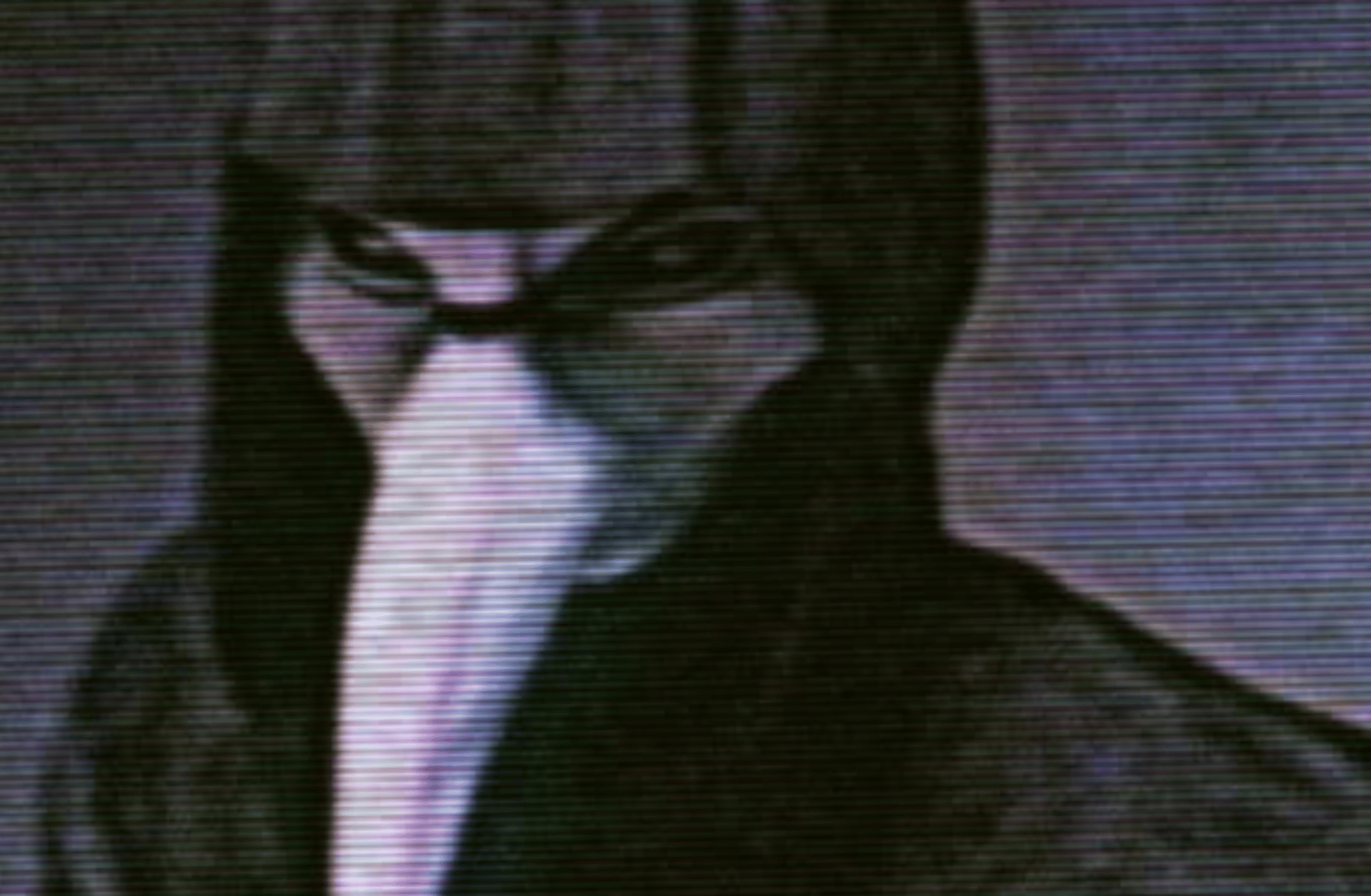 SCP 049