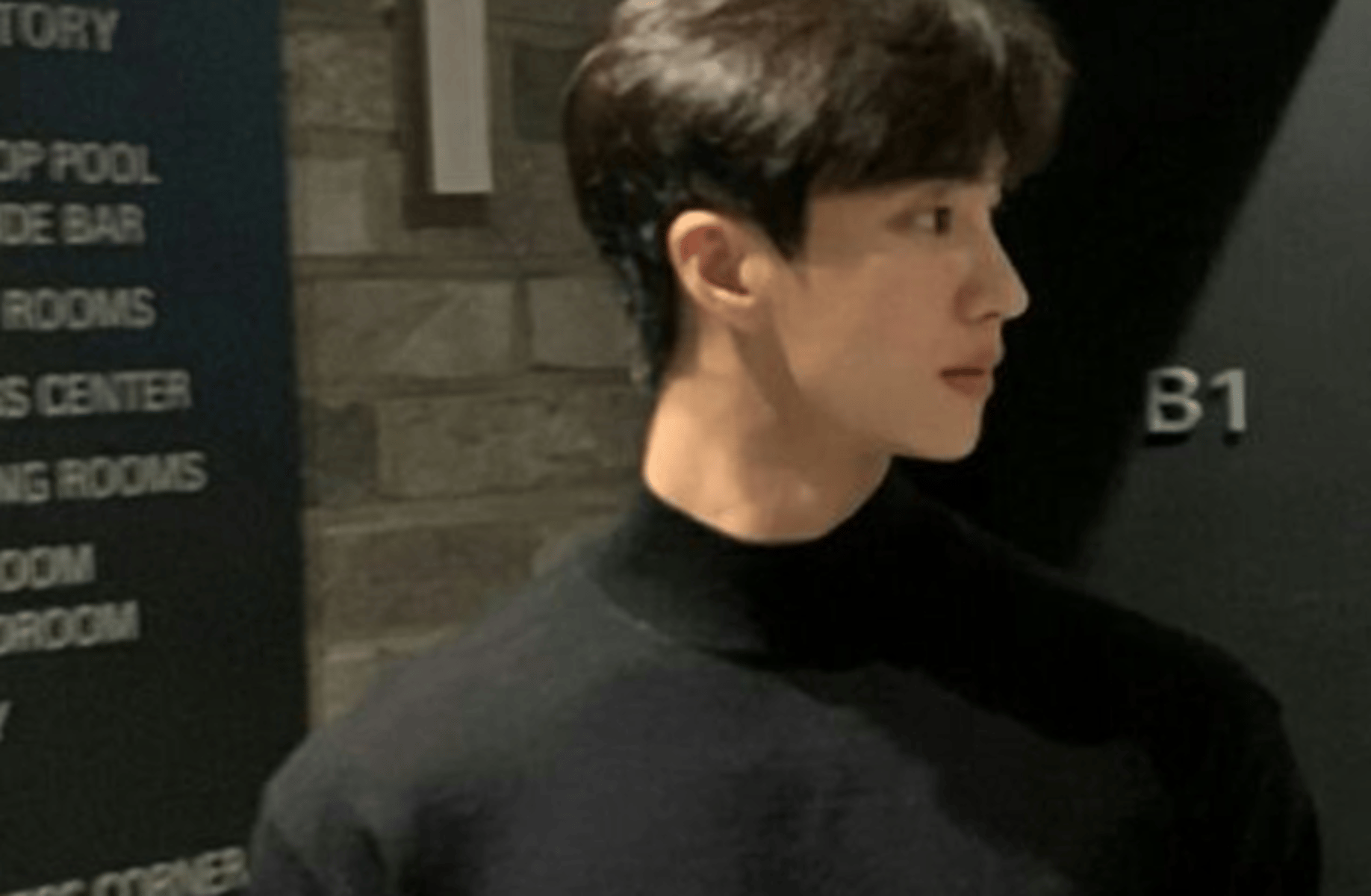 Handsome Bodyguard