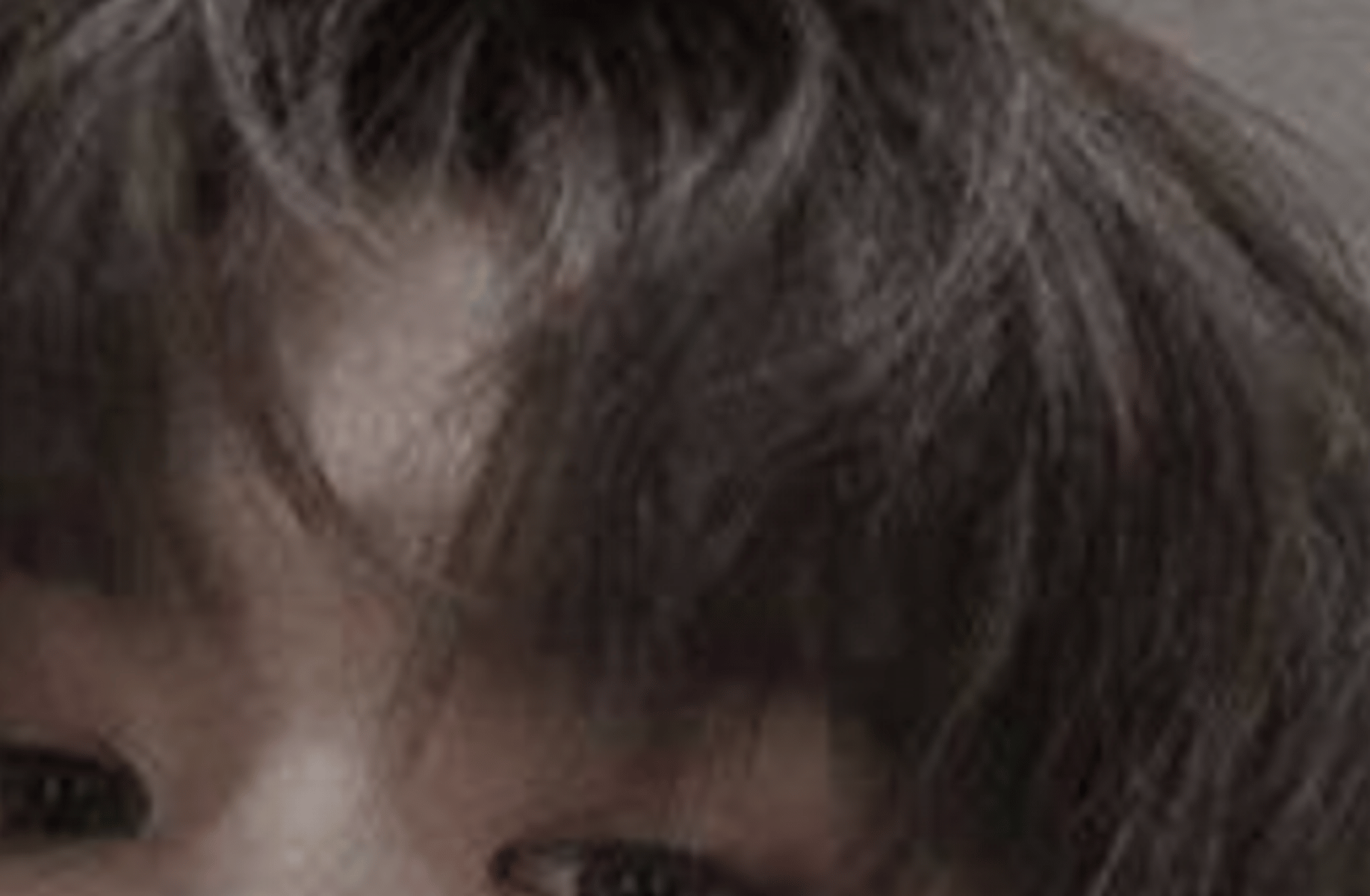 Dan