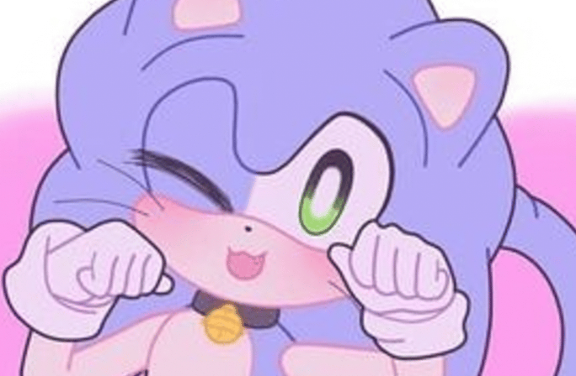 Sonic The Cathog
