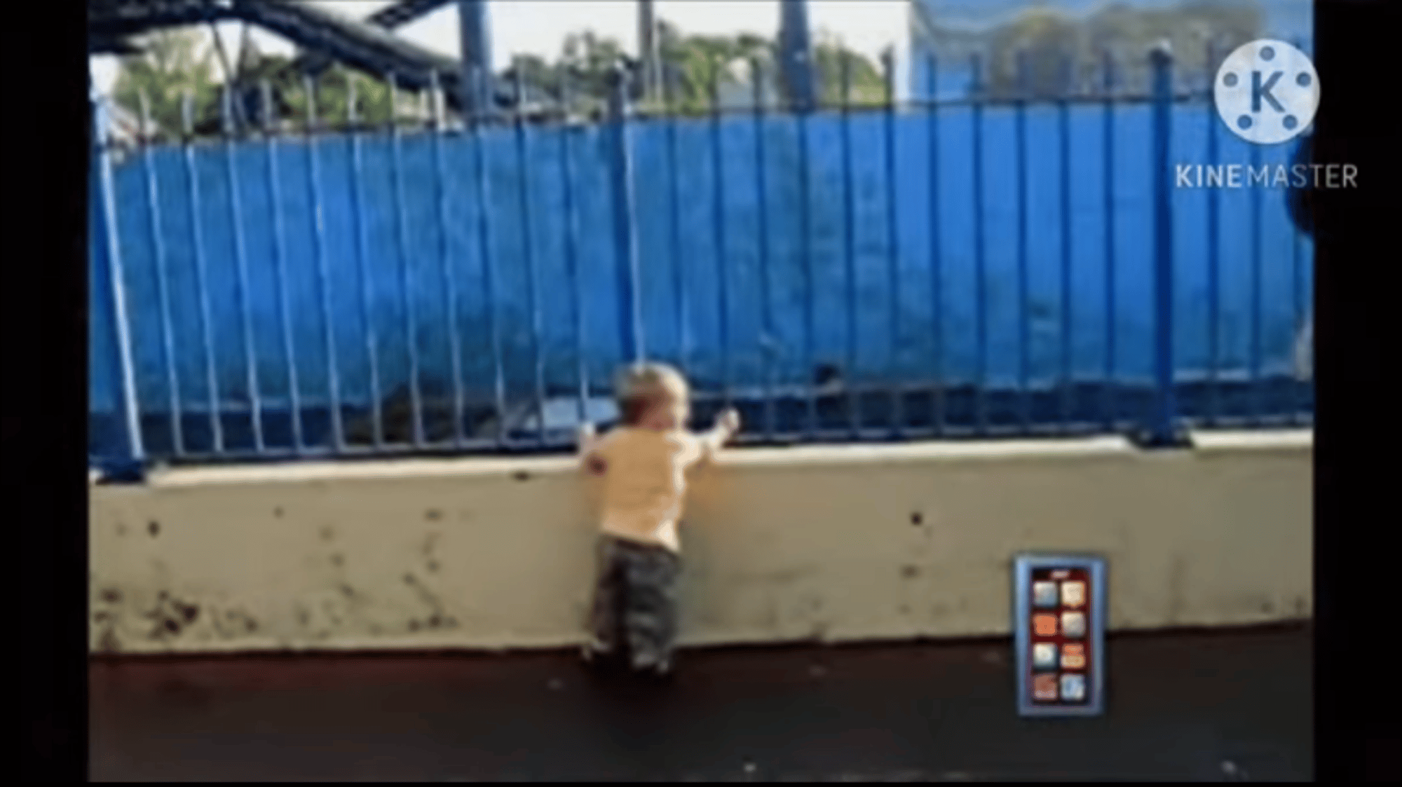 Boy