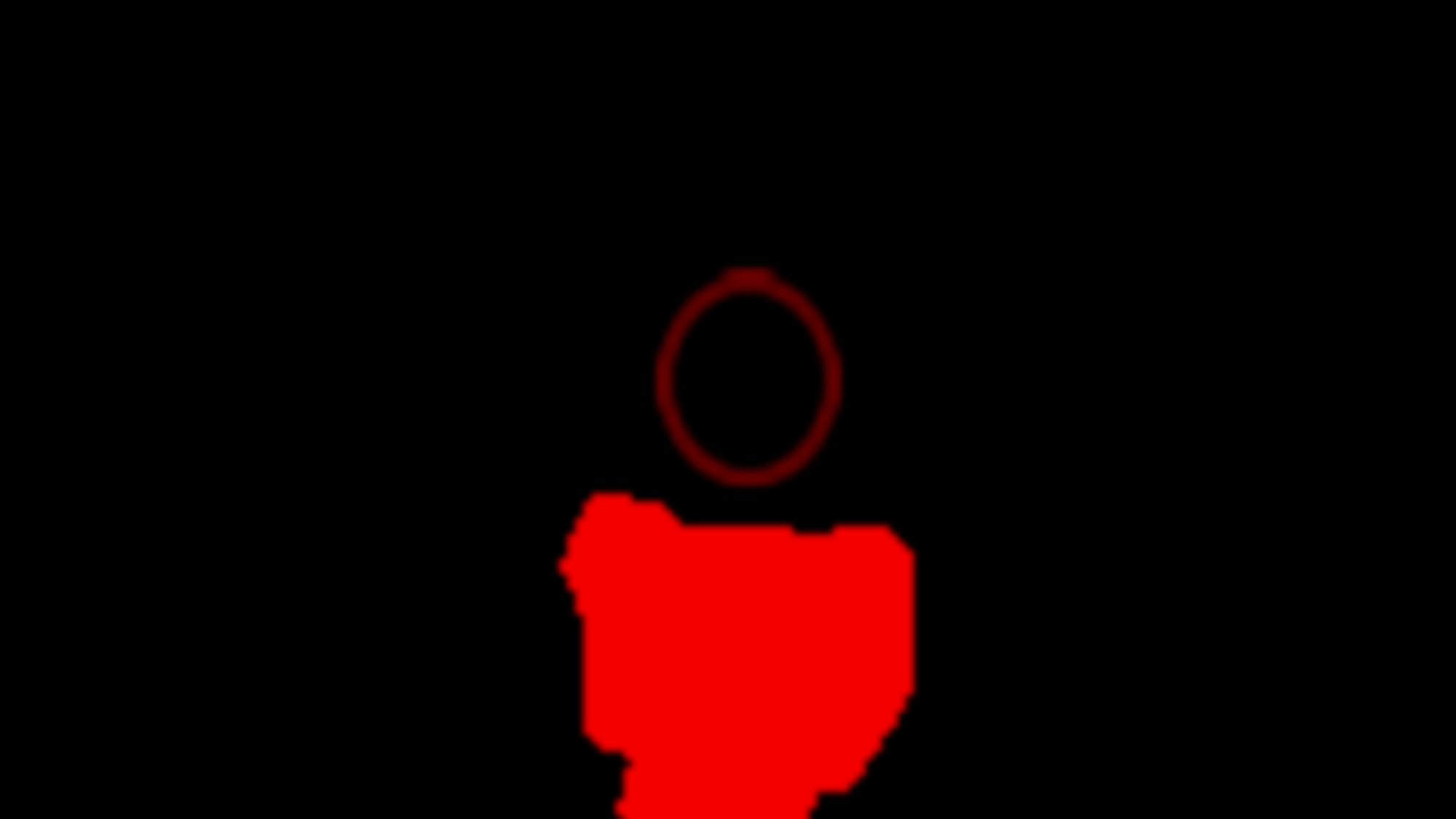 The Witness