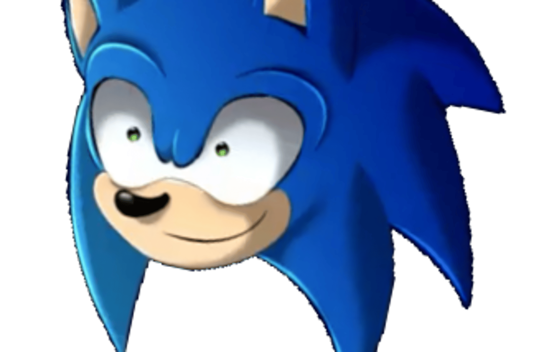 Chaos hunter/junter sonic