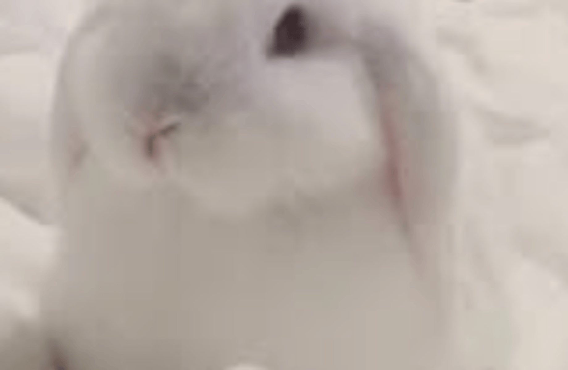 Levi