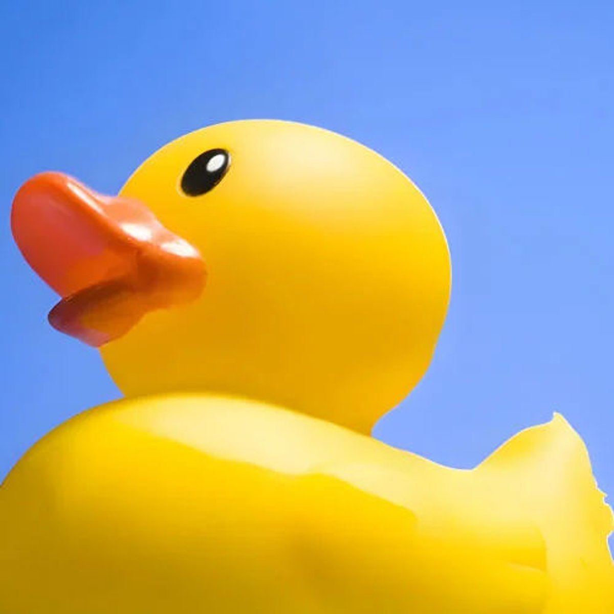 Rubber Duck (Original)