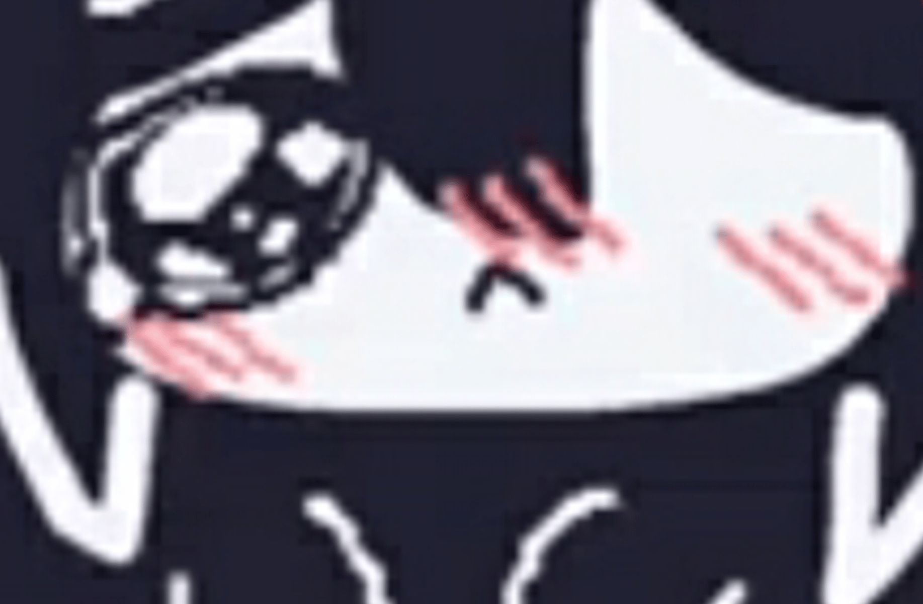 Ms. Circle cat
