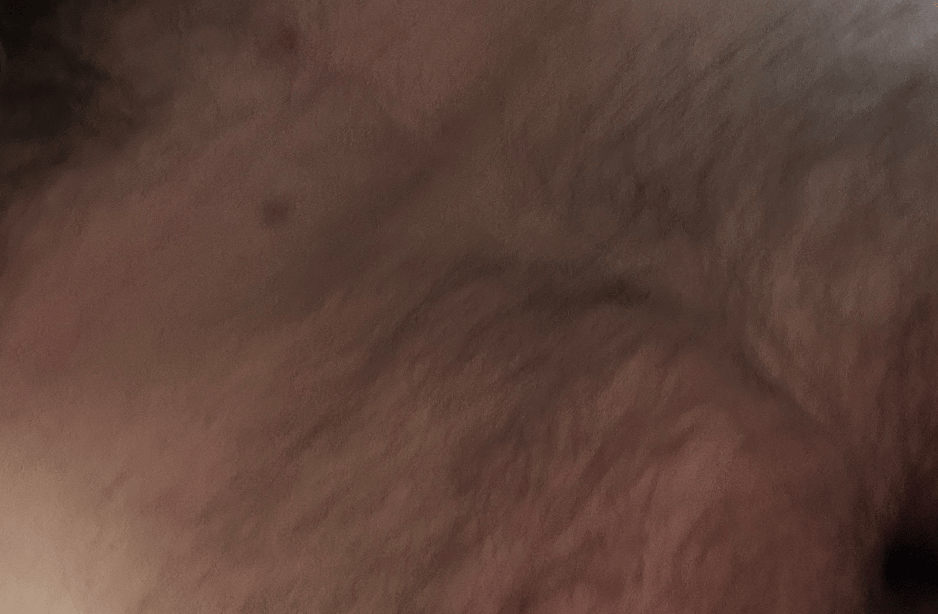 Vice President Kamil