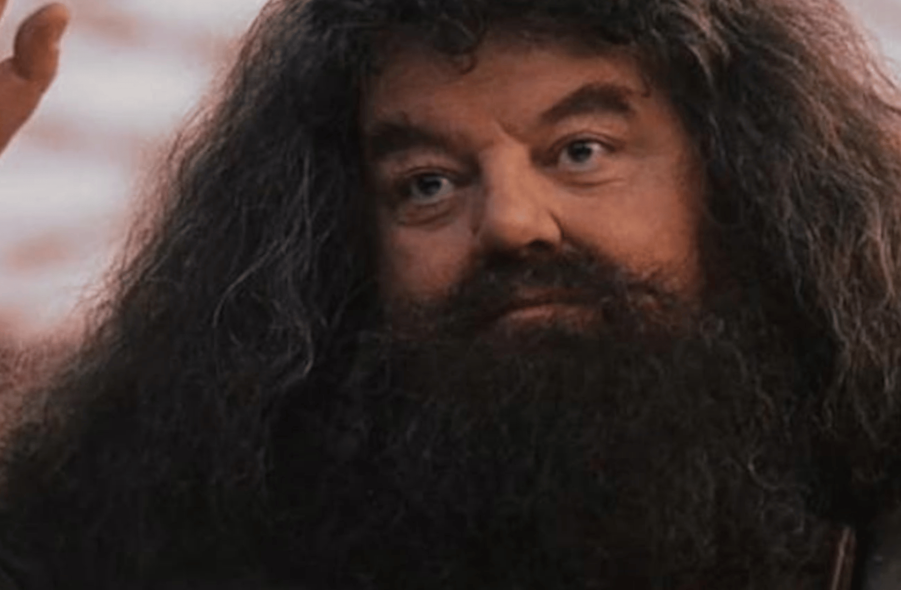Hagrid