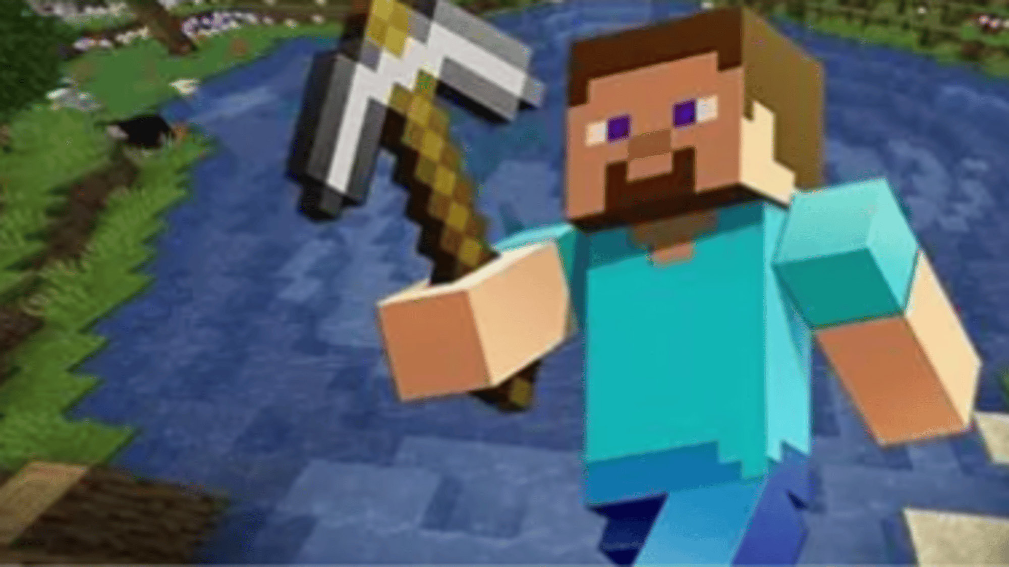 Steve