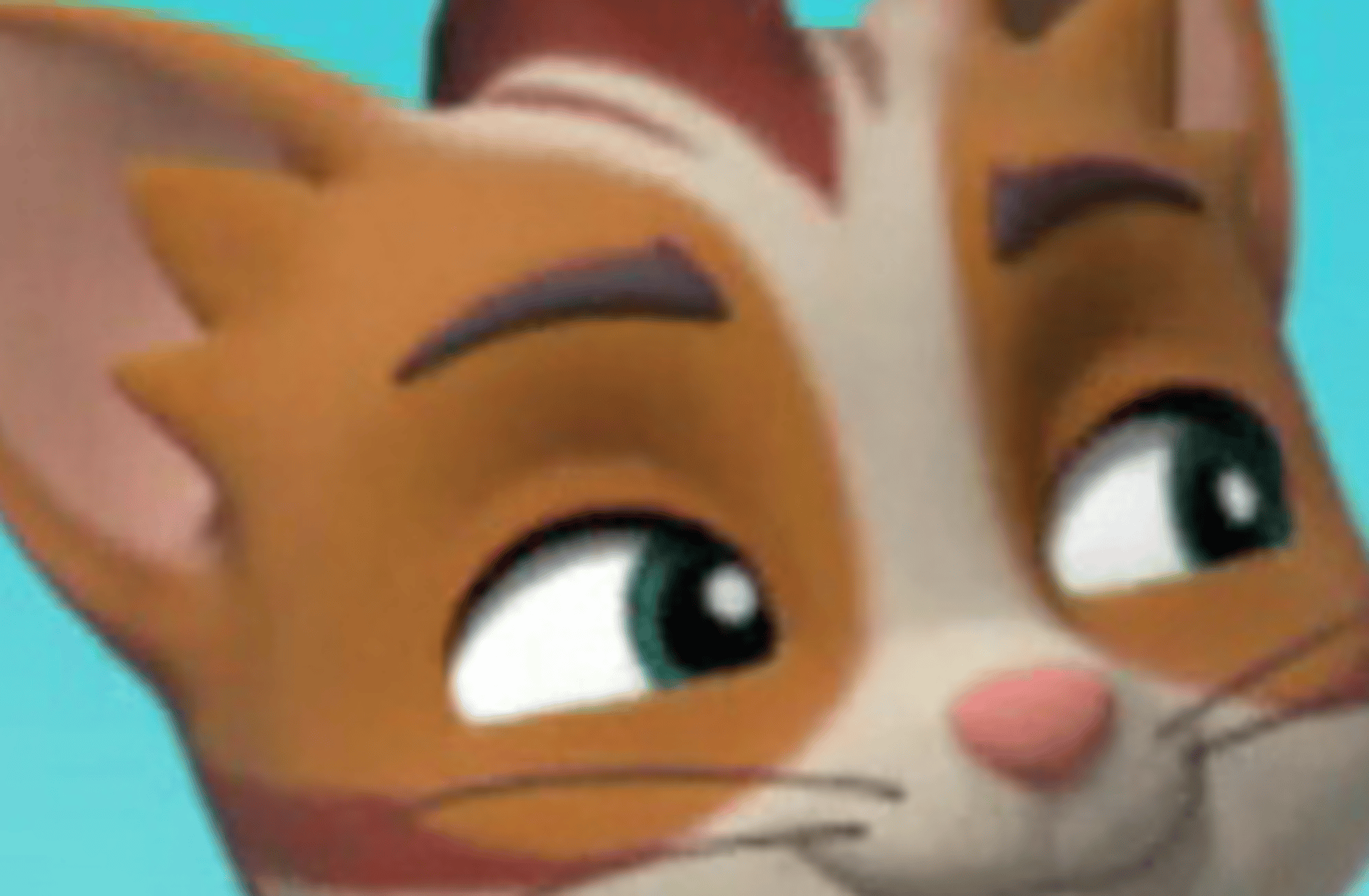 Wildcat