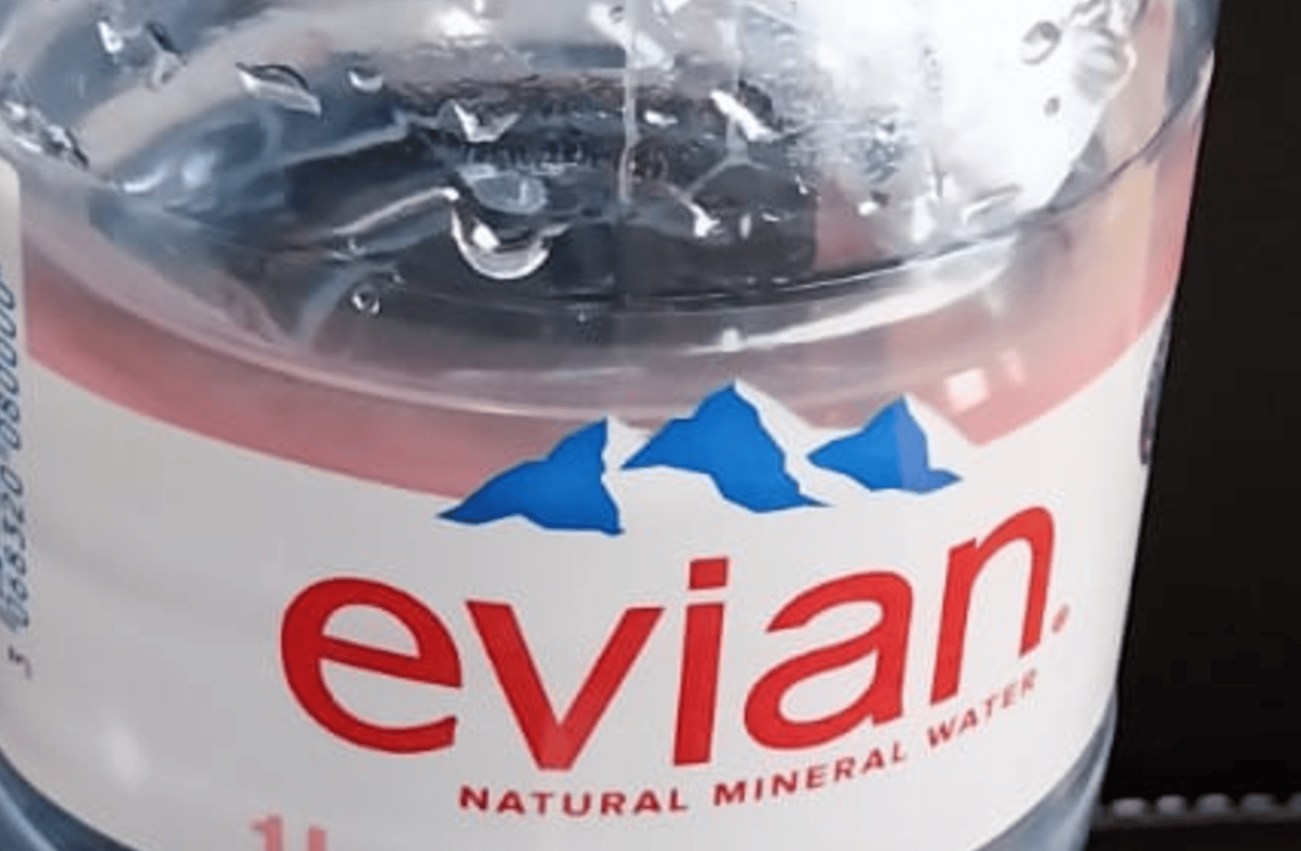 Water Bottle
