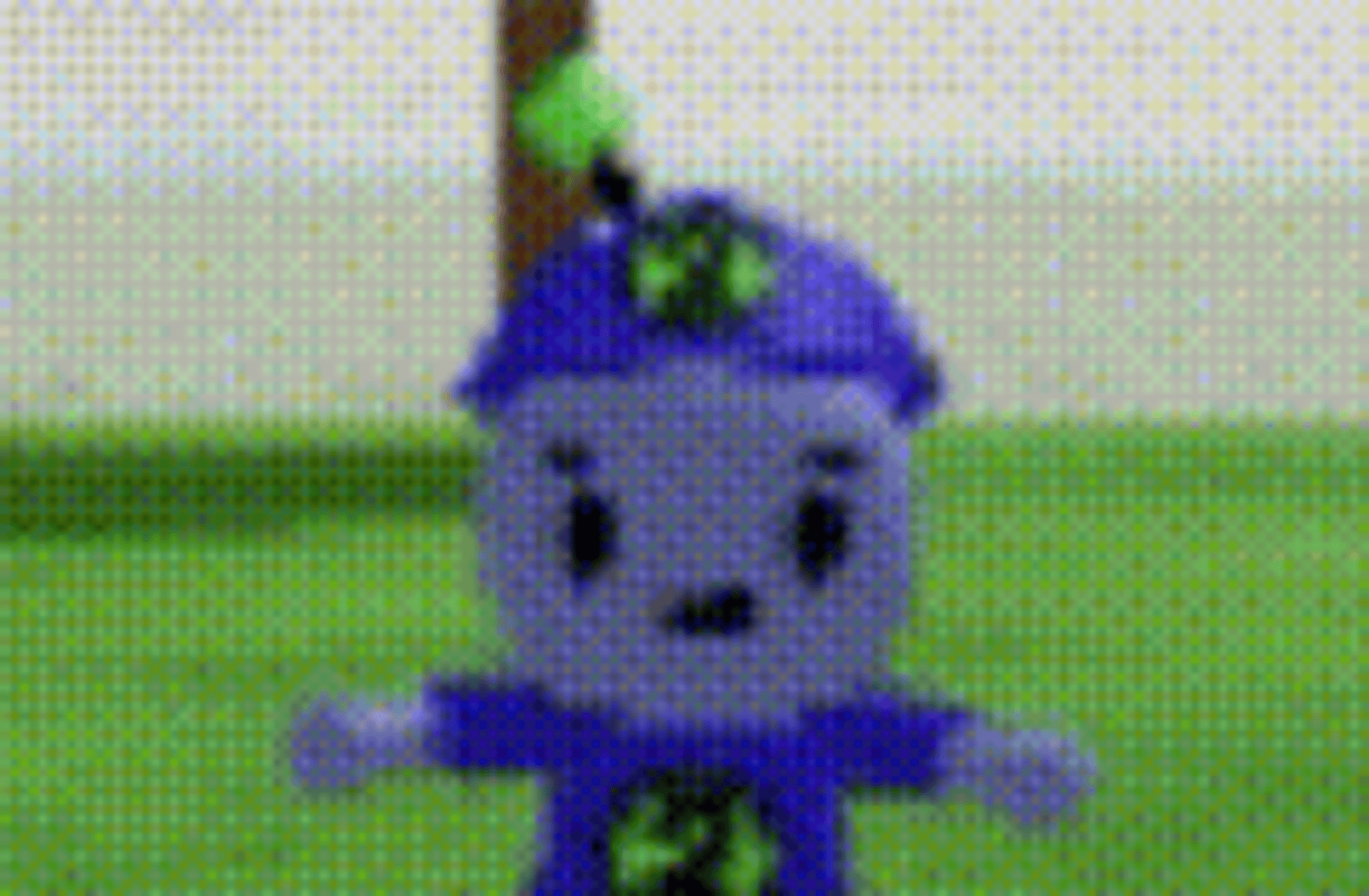 Beebo