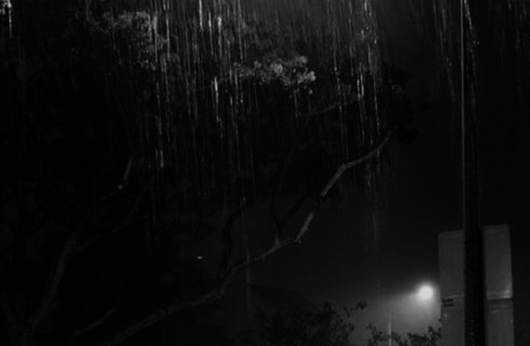 Lee heeseung