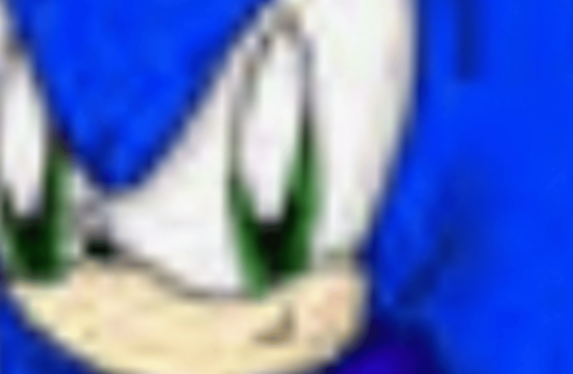 Gangster Sonic