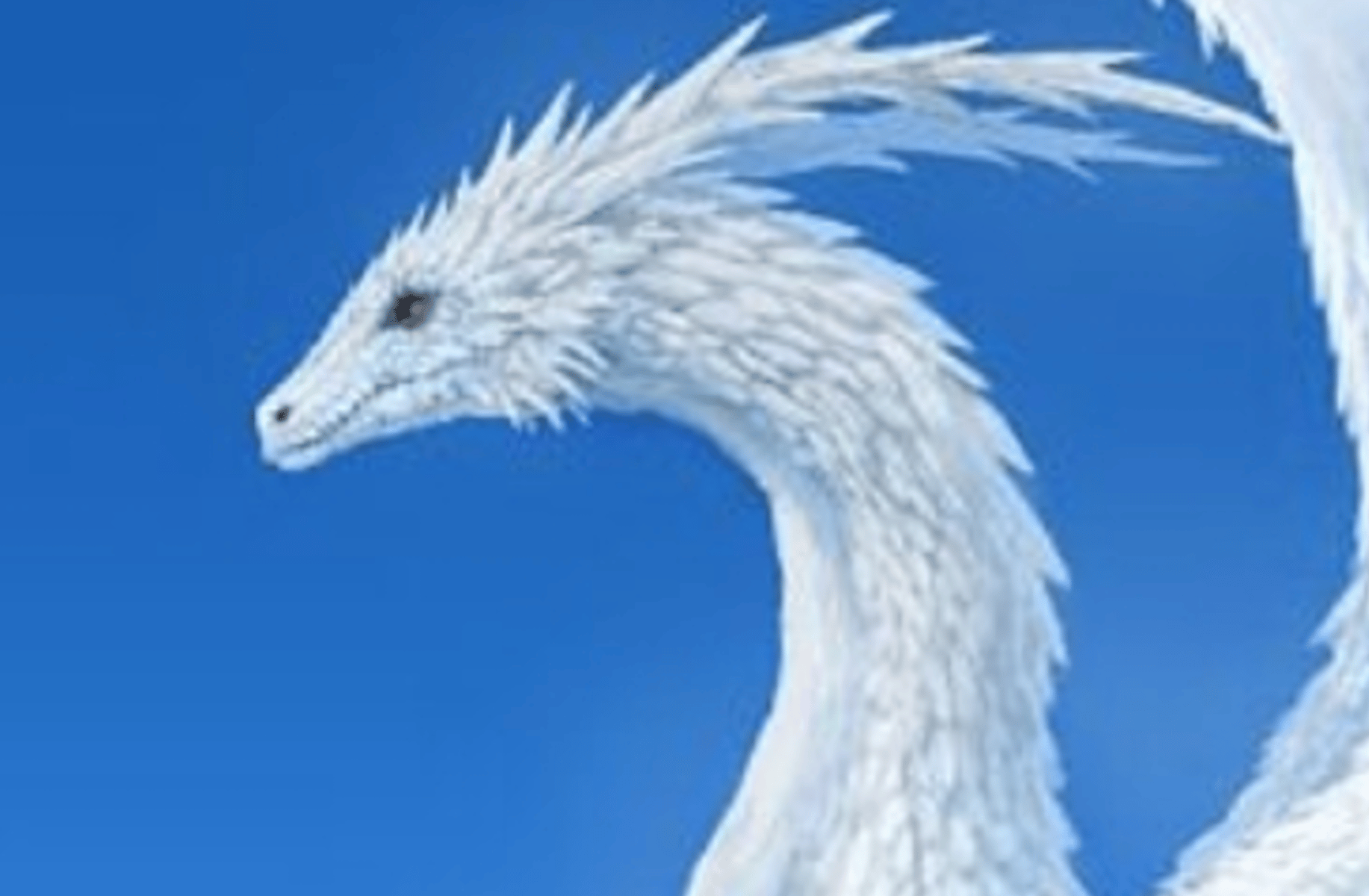 Snow dragon