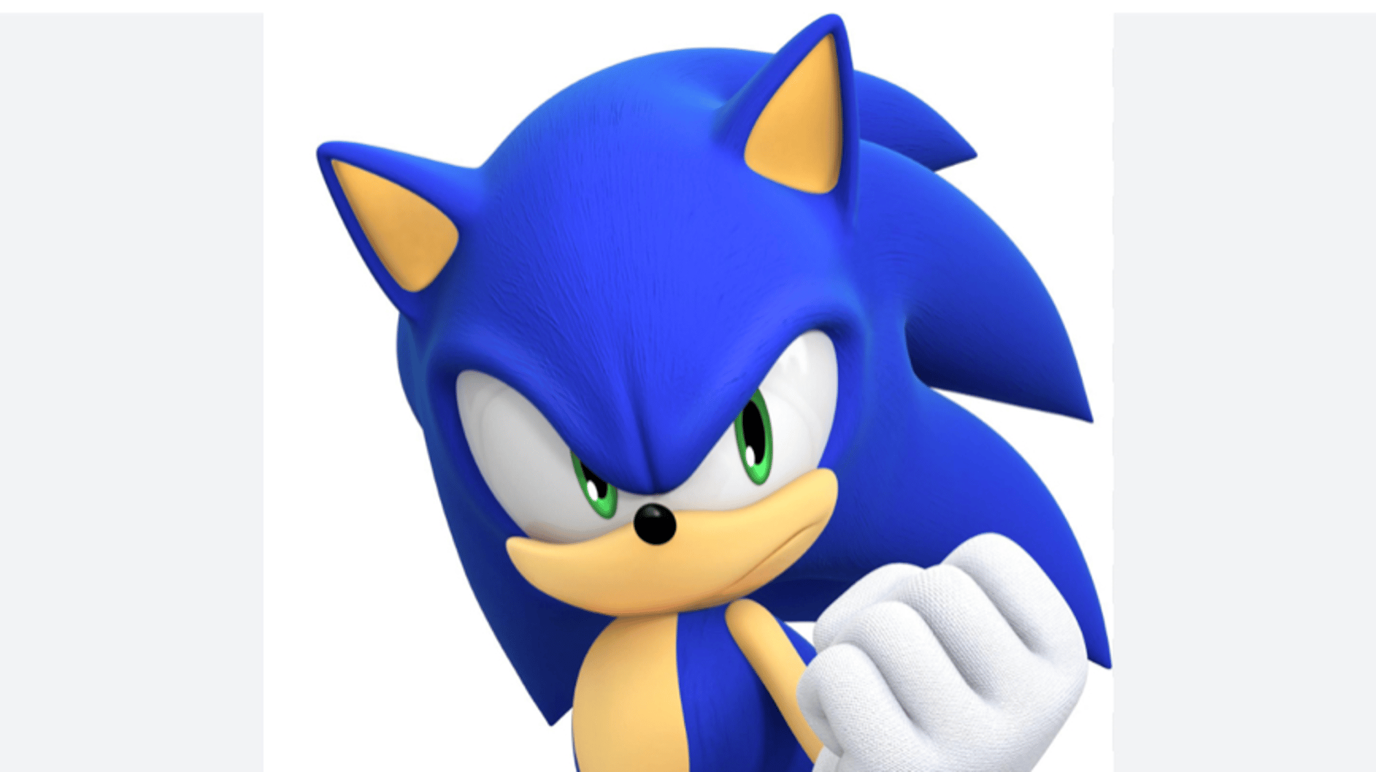Sonic the hedgehog