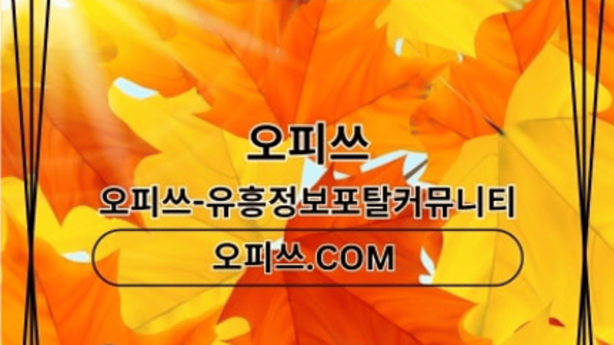 abgujeongchuljangshop