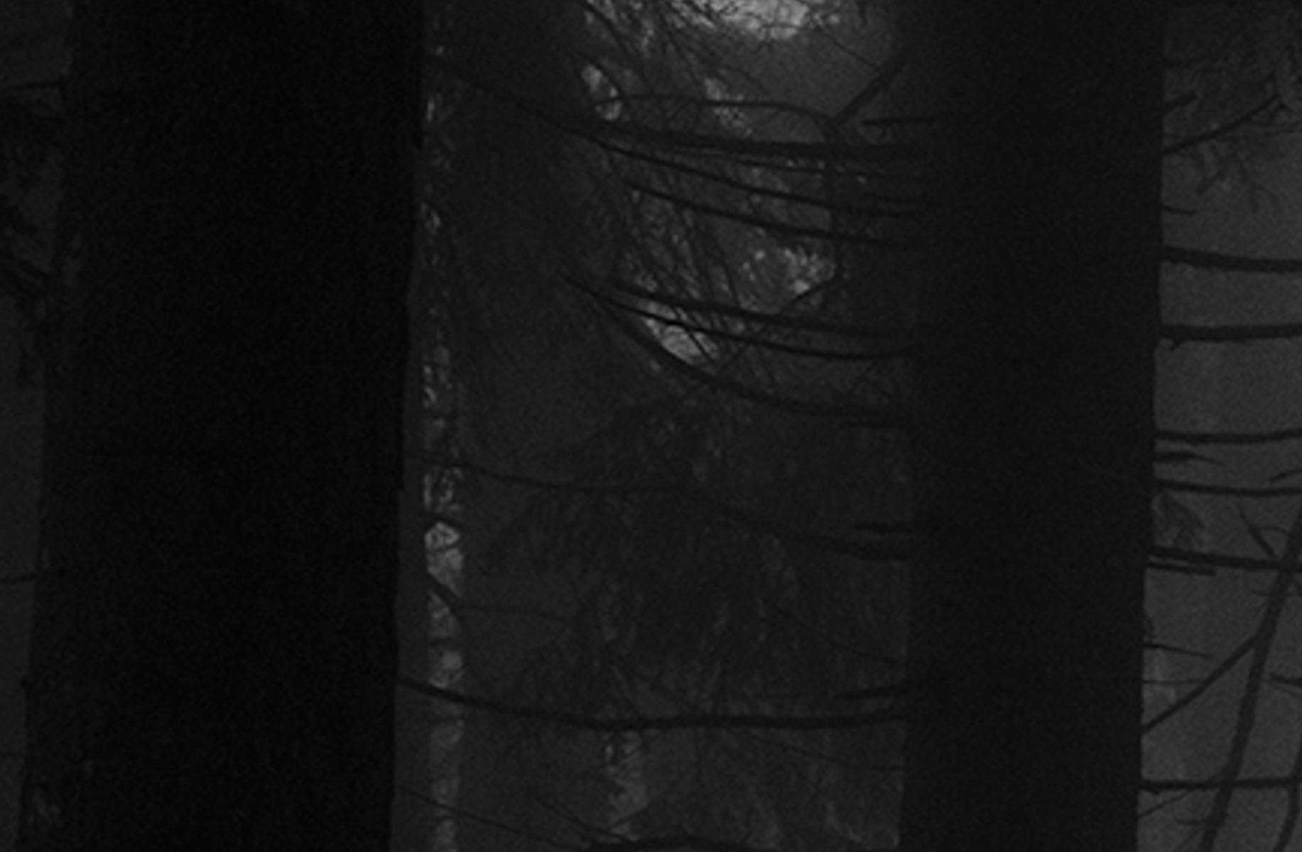 Scary Figure